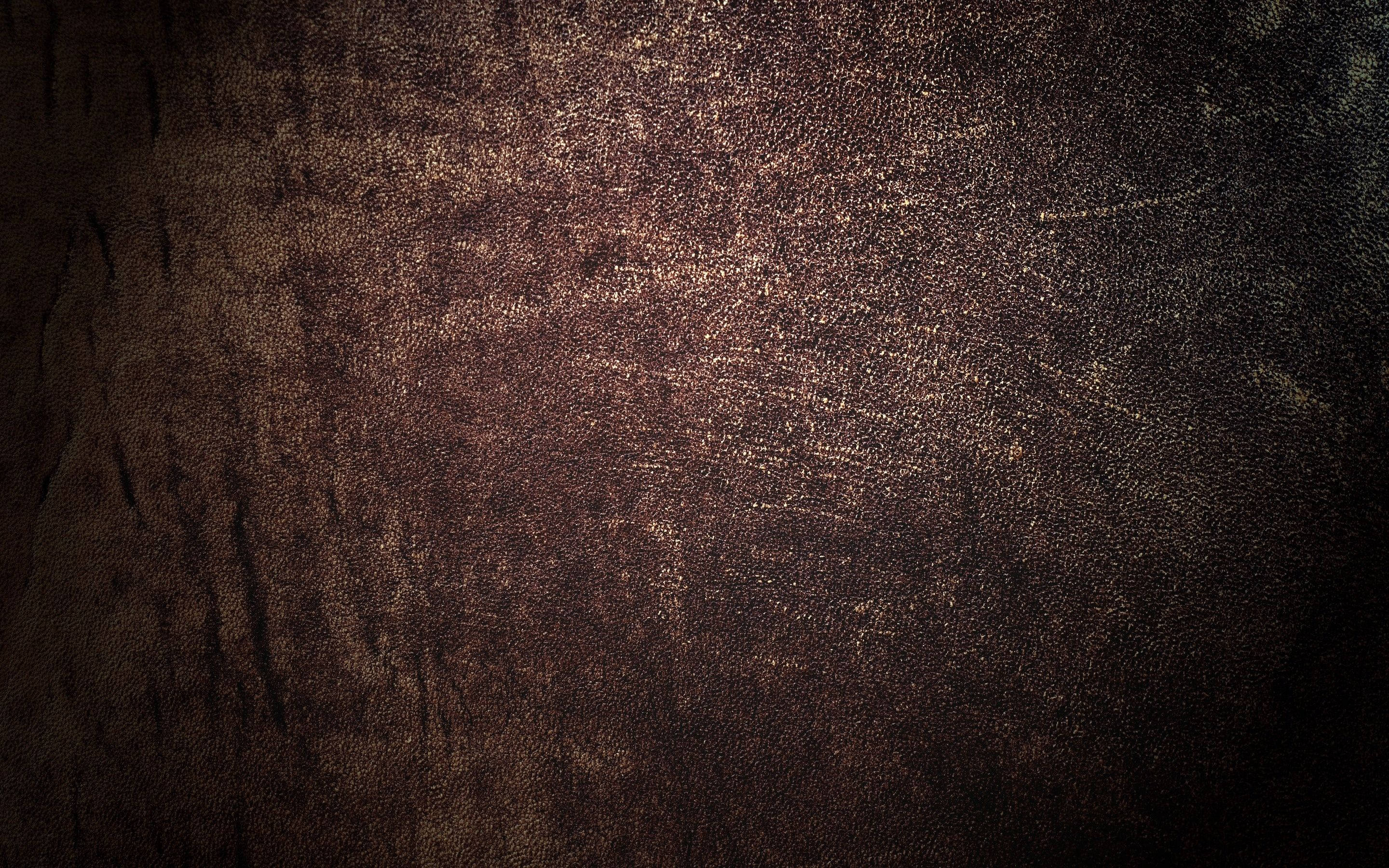 textured dark brown wall, golden speckles, deep shadows, 2K Desktop Wallpaper
