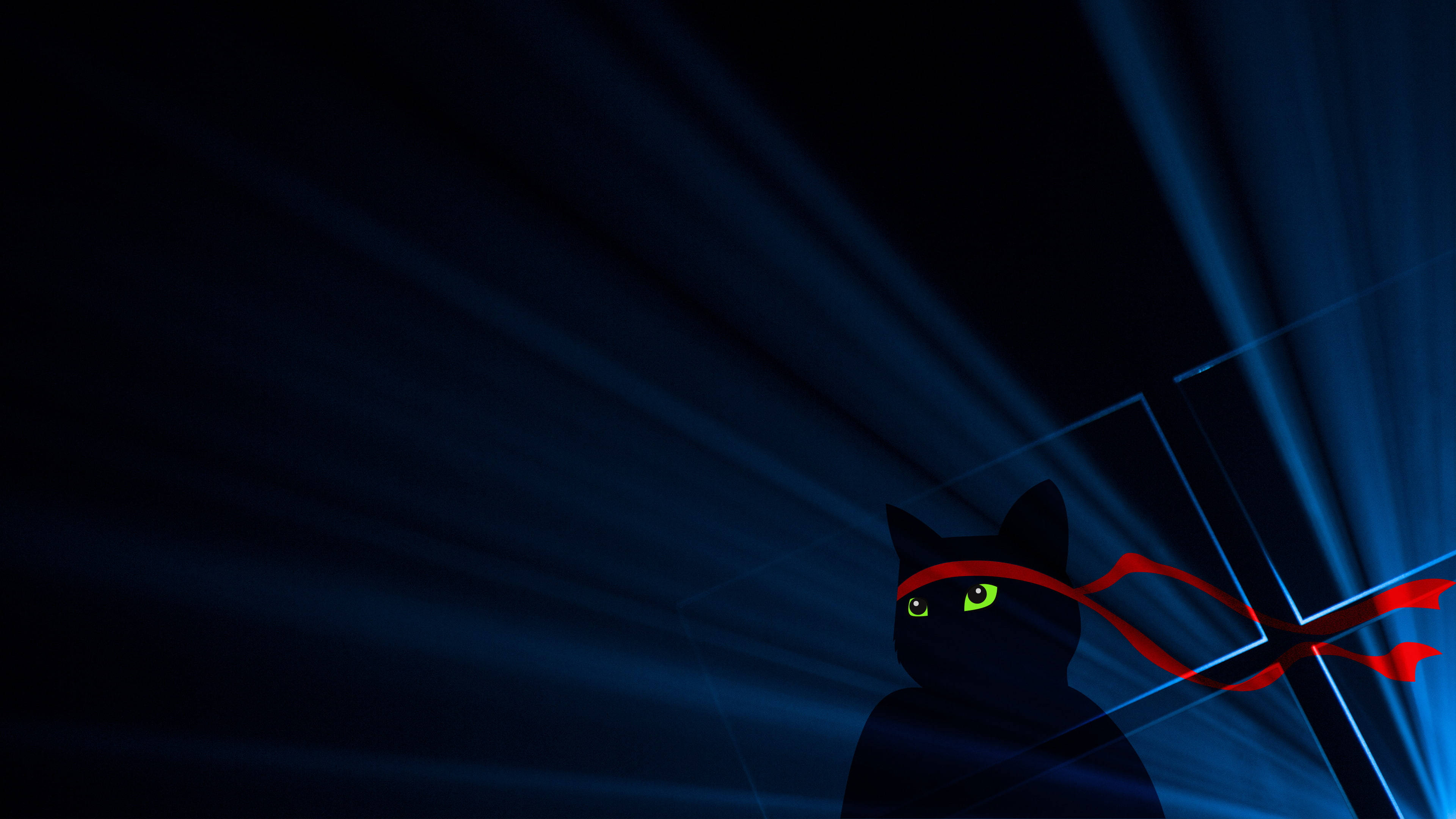 Dark Windows, cat, glowing green eyes, 4K Desktop Wallpaper