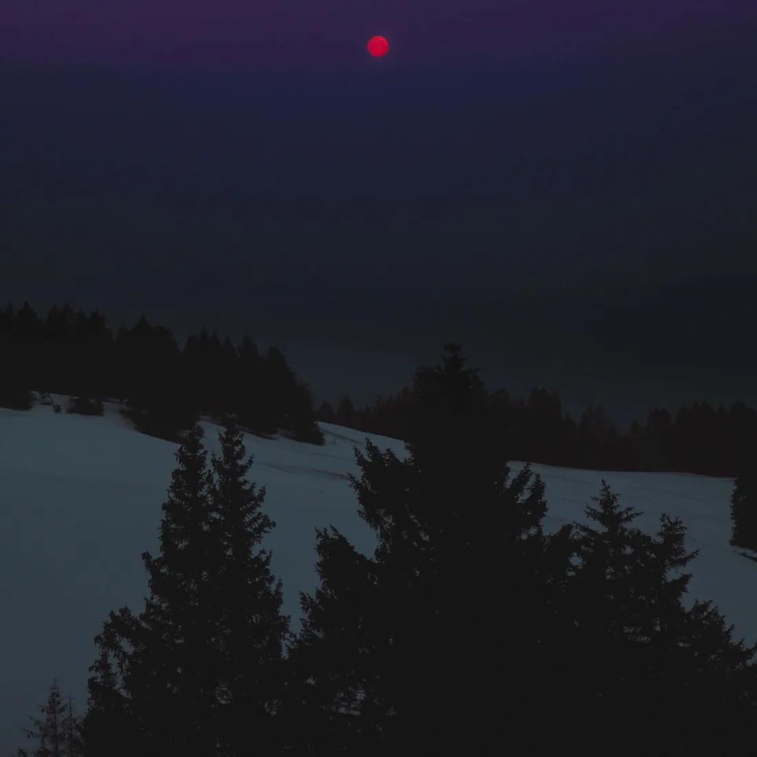 Dark Winter Aesthetic