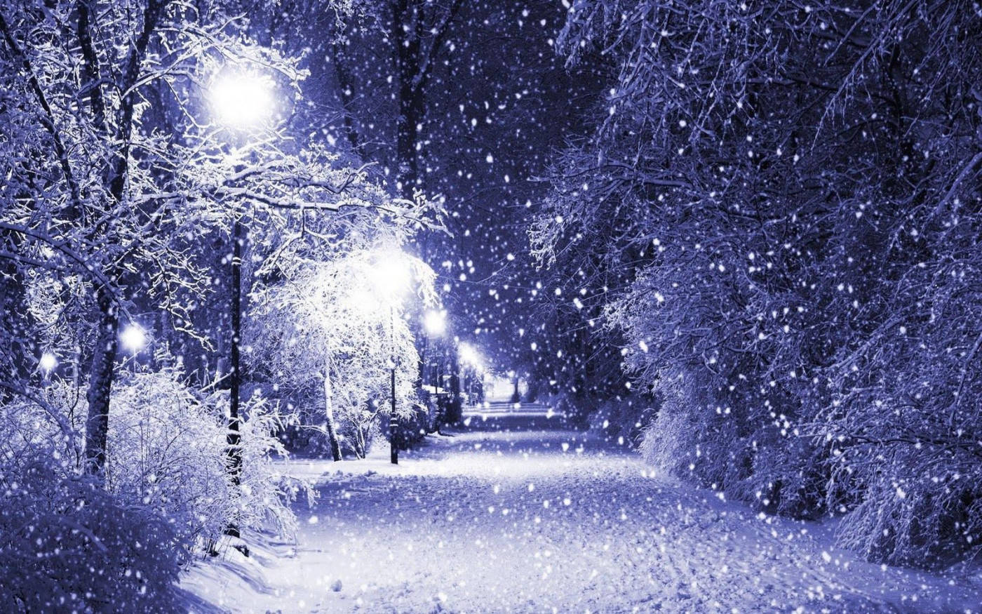 moonlit winter park, glowing streetlights, frost-covered trees, HD Desktop Wallpaper