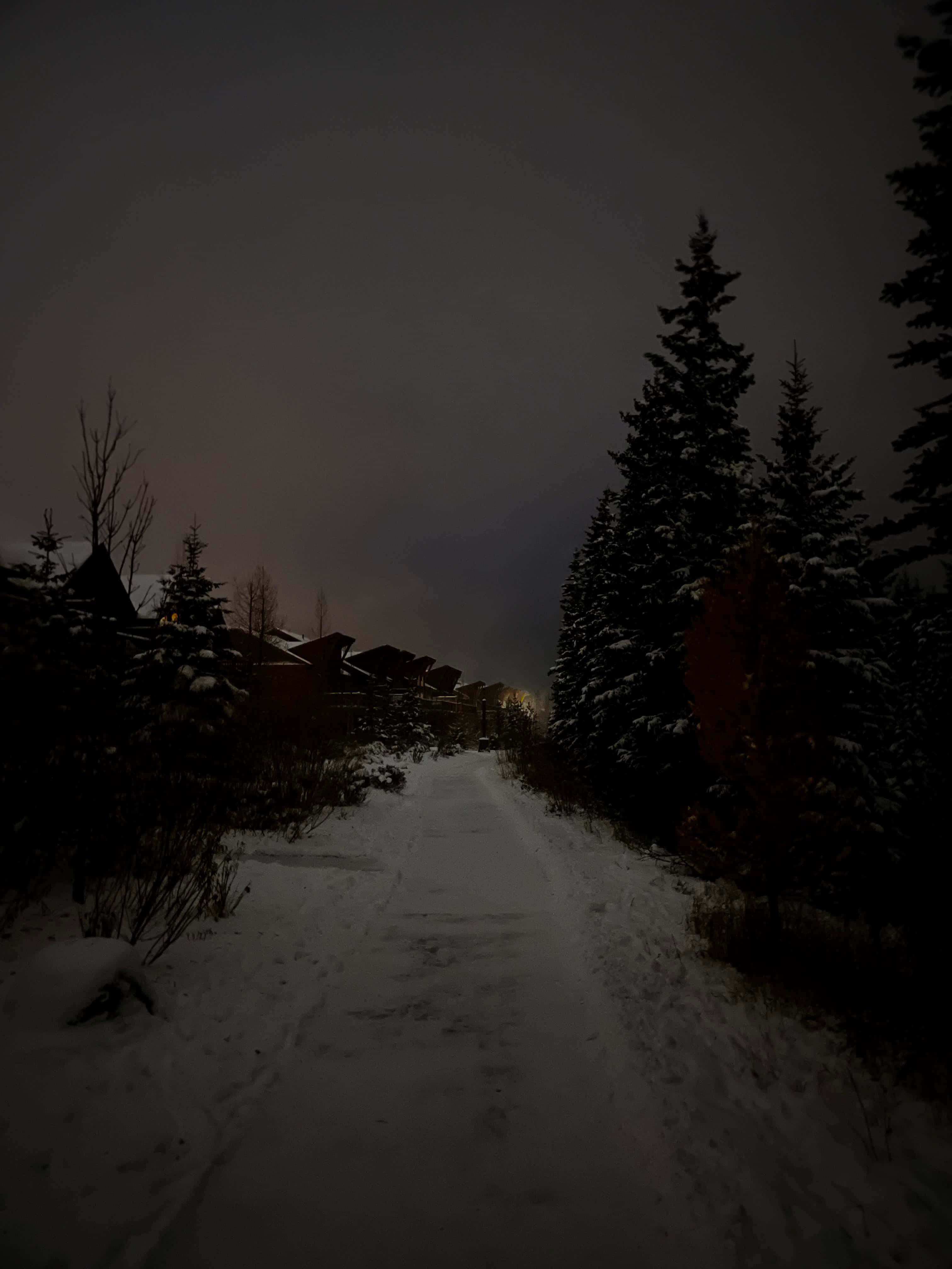 Dark Winter Pathway, snow covered path, dark evergreen trees, 4K Phone Wallpaper