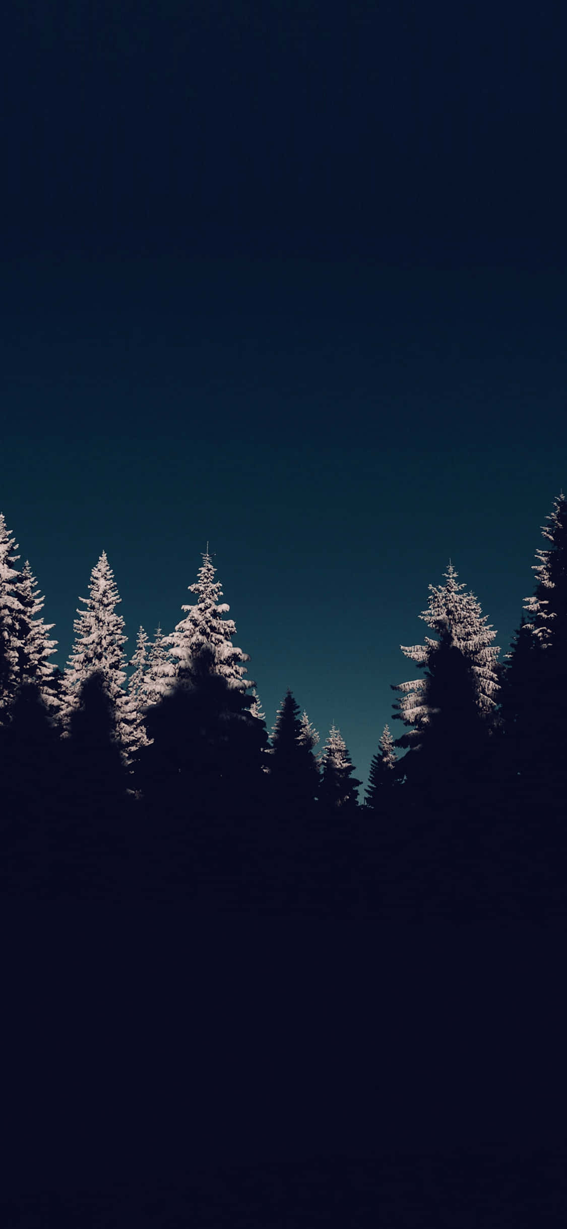 Dark Winter Forest Silhouette, snow dusted pine trees, deep teal twilight sky, Full HD Phone Wallpaper