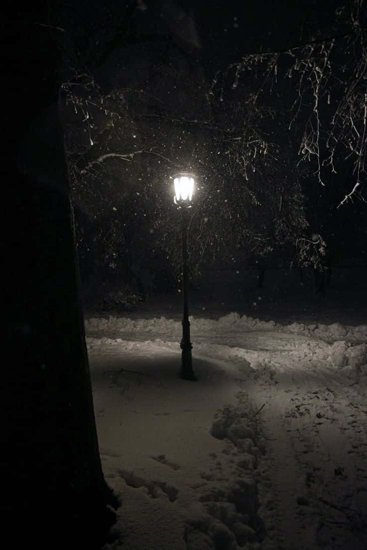 lone lamp post, snowy night, glowing streetlamp, SD Phone Wallpaper