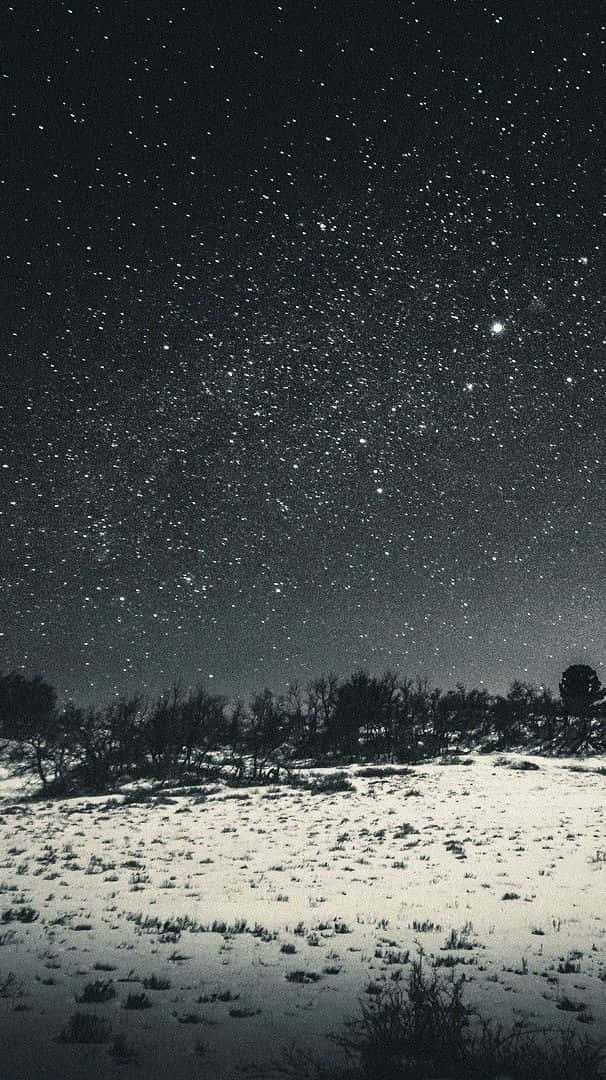 Starry Winter Night, snowy field, starry night sky, SD Phone Wallpaper