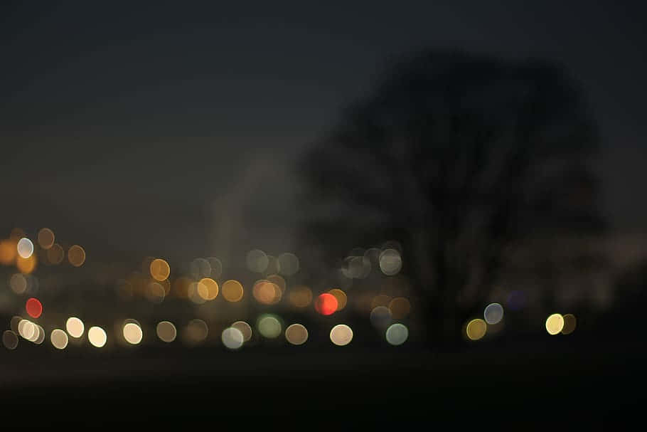 Dark Winter Bokeh Tree Nightscape, bokeh lights, distant city traffic, SD Desktop Wallpaper