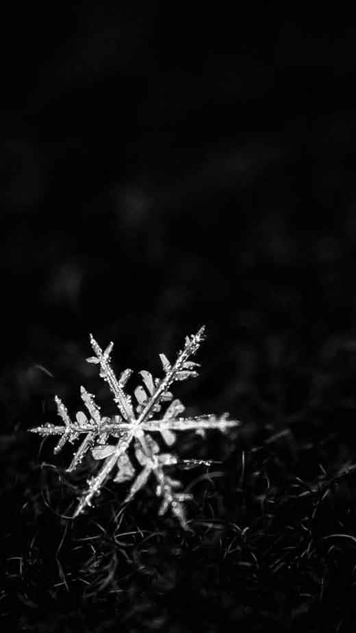 Dark Winter Snowflake, snowflake, dark grass, SD Phone Wallpaper