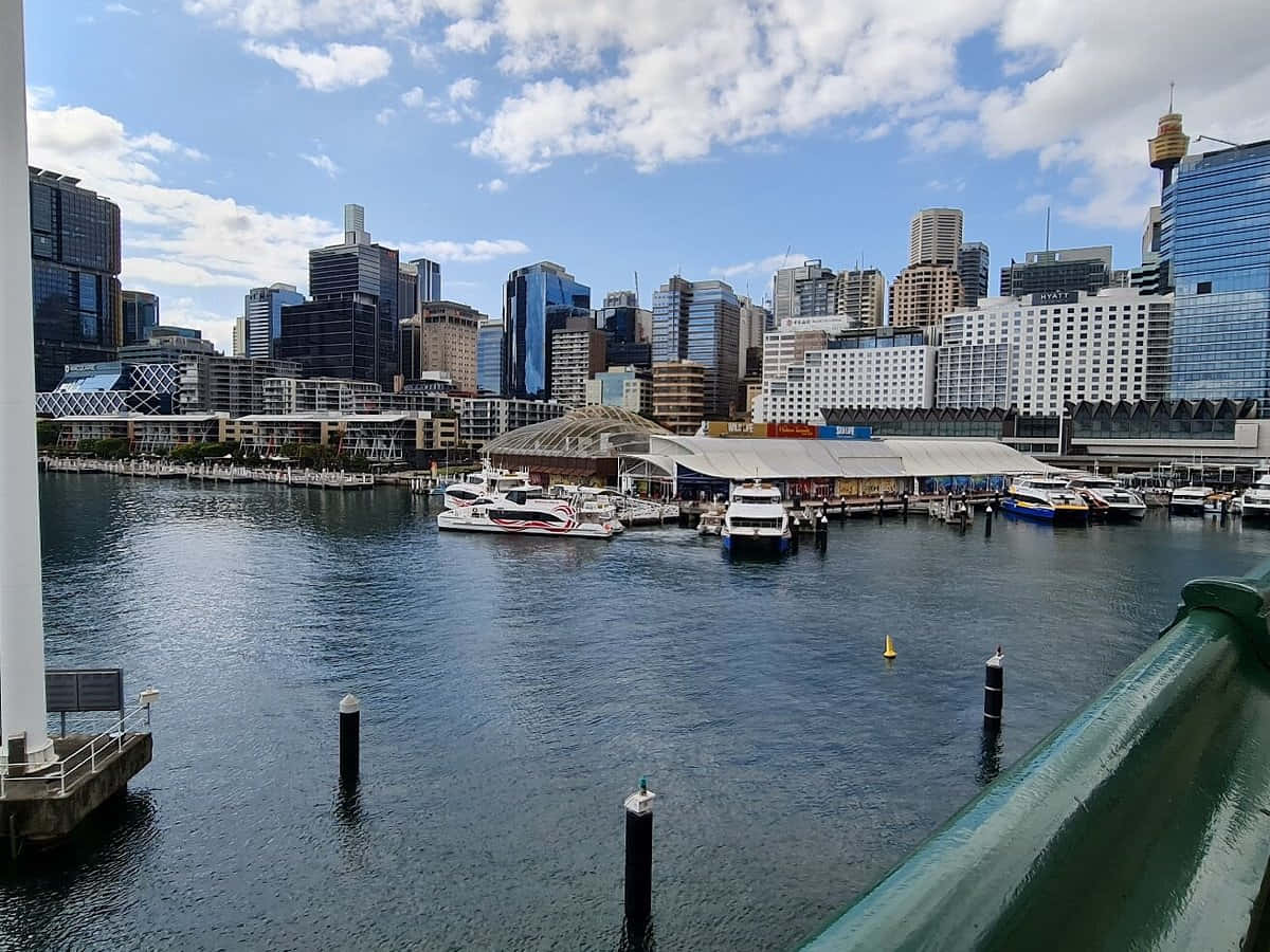 Darling Harbor Sydney, glass skyscrapers, bright blue sky, SD Desktop Wallpaper