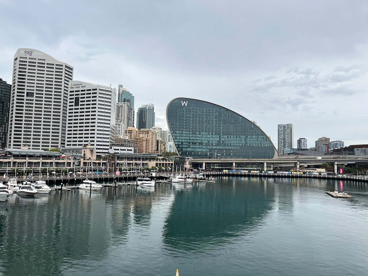 Darling Harbor Sydney, waterfront view, glass skyscrapers, SD Desktop Wallpaper