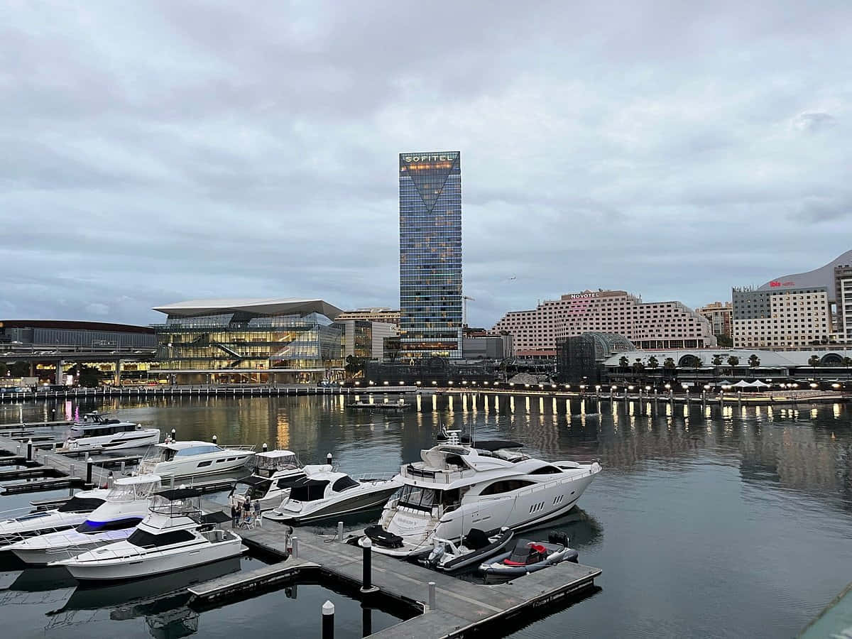Darling Harbor Sydney, dusk view, luxury yachts, SD Desktop Wallpaper