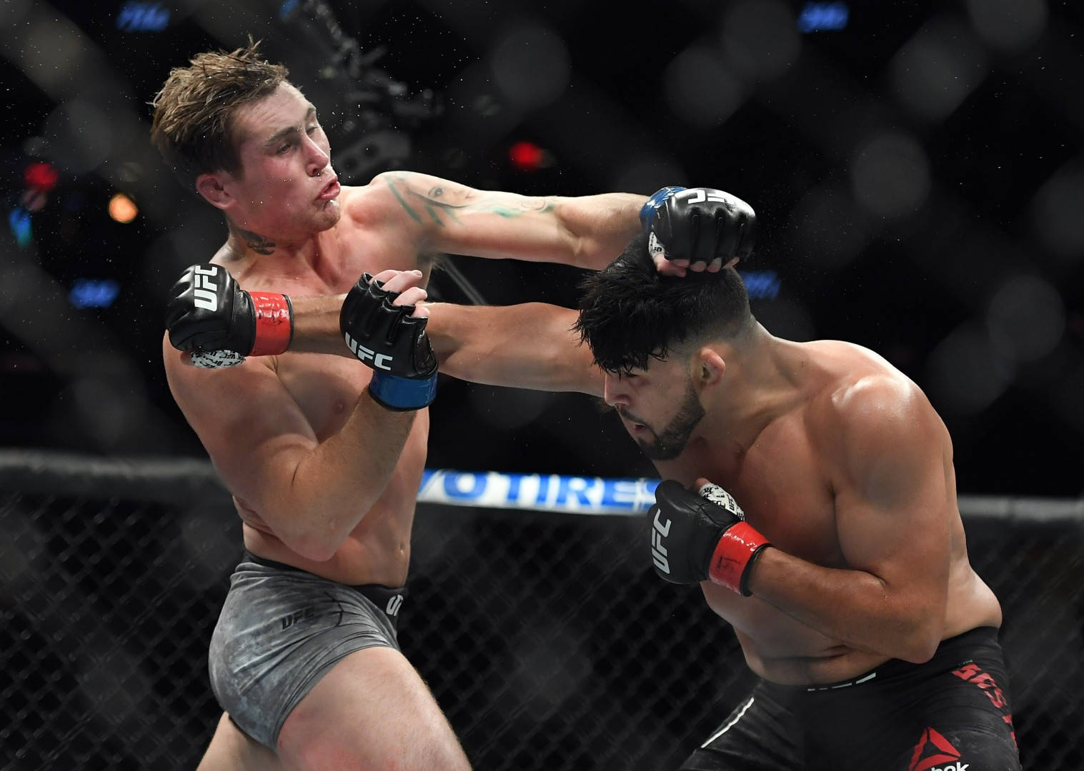 Darren Till, MMA fighters, cage match, HD Desktop Wallpaper