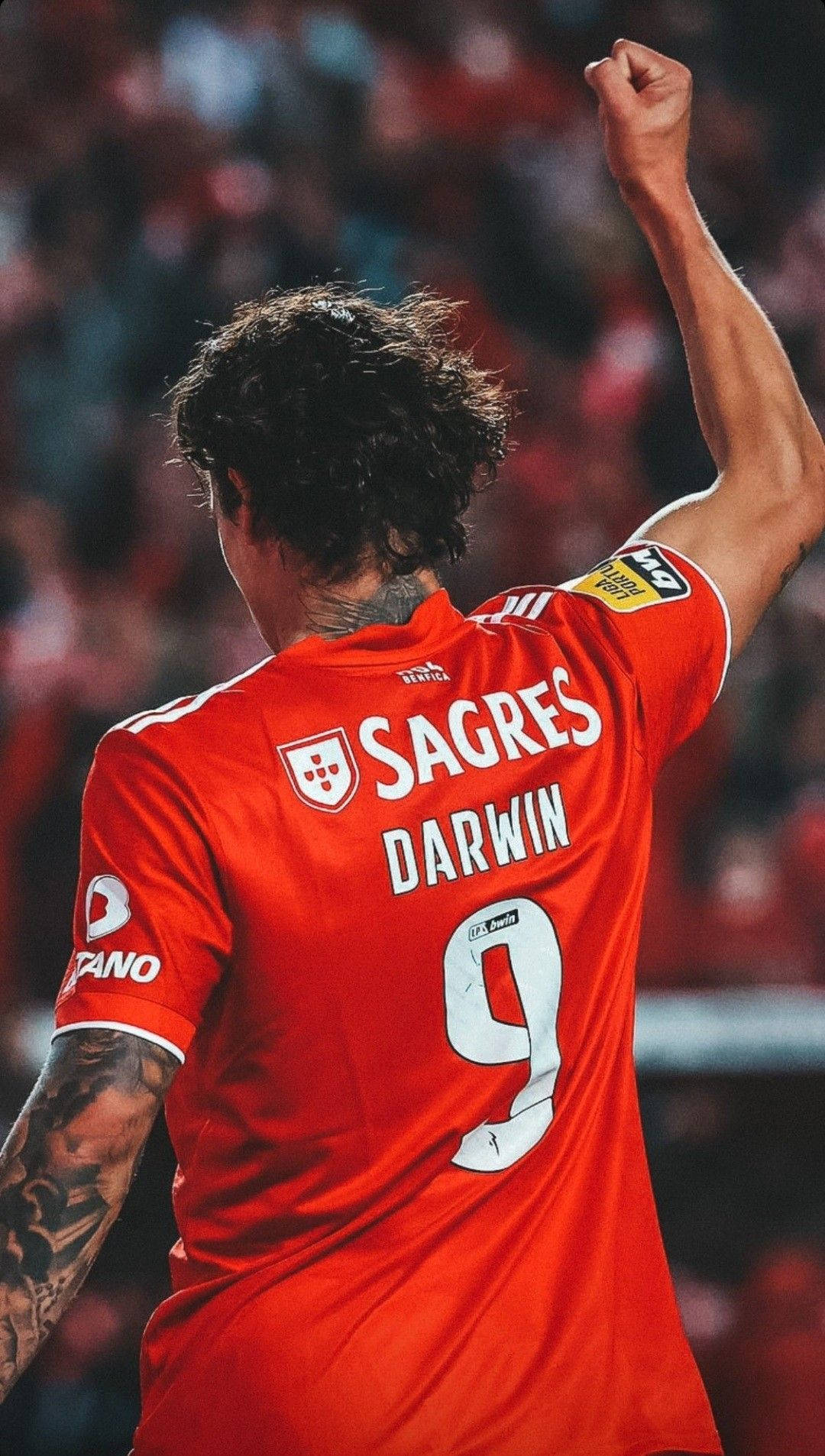 Darwin Núñez, red jersey, number 9, HD Phone Wallpaper