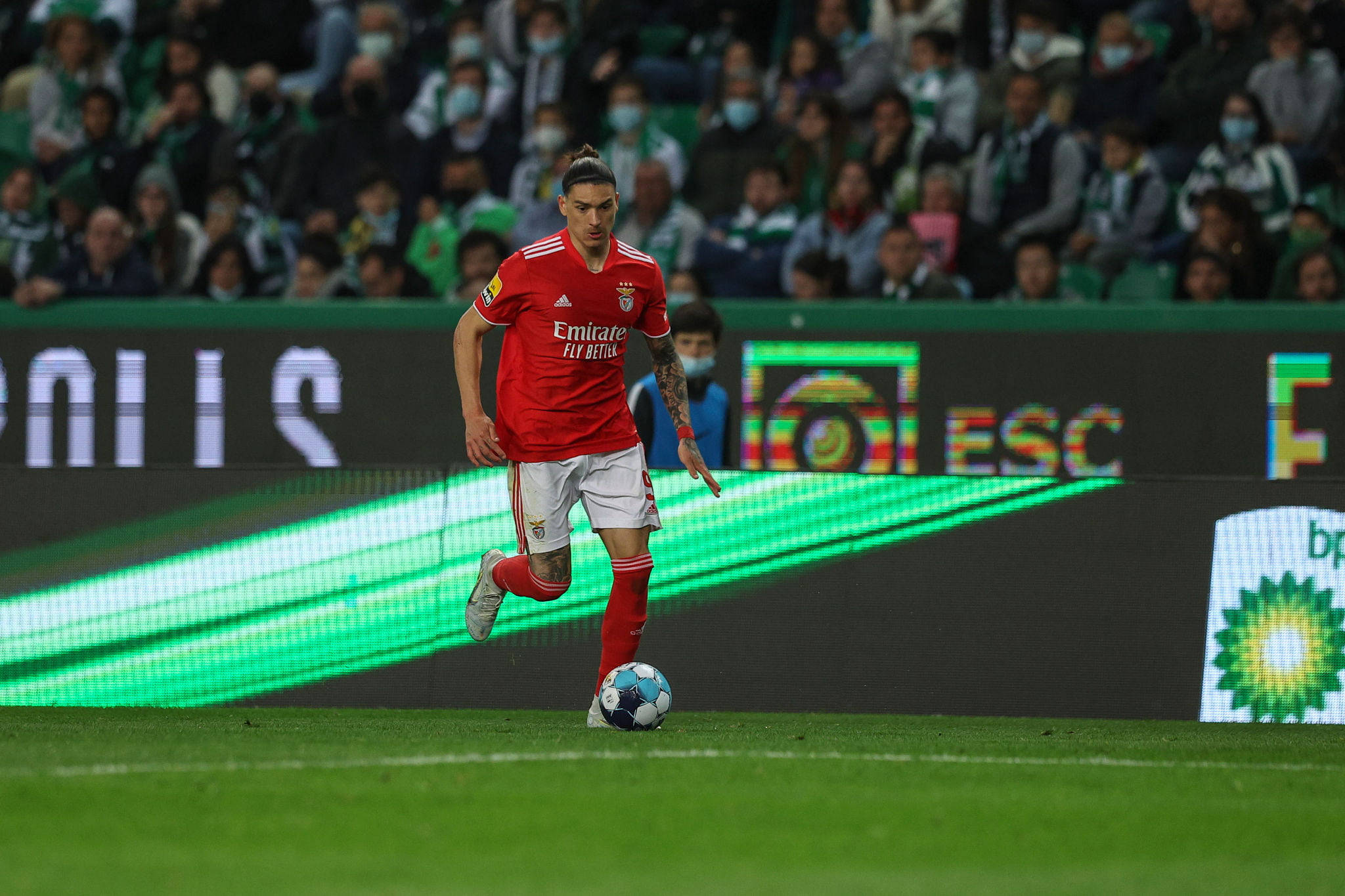 Darwin Núñez, red jersey, vibrant green pitch, Full HD Desktop Wallpaper