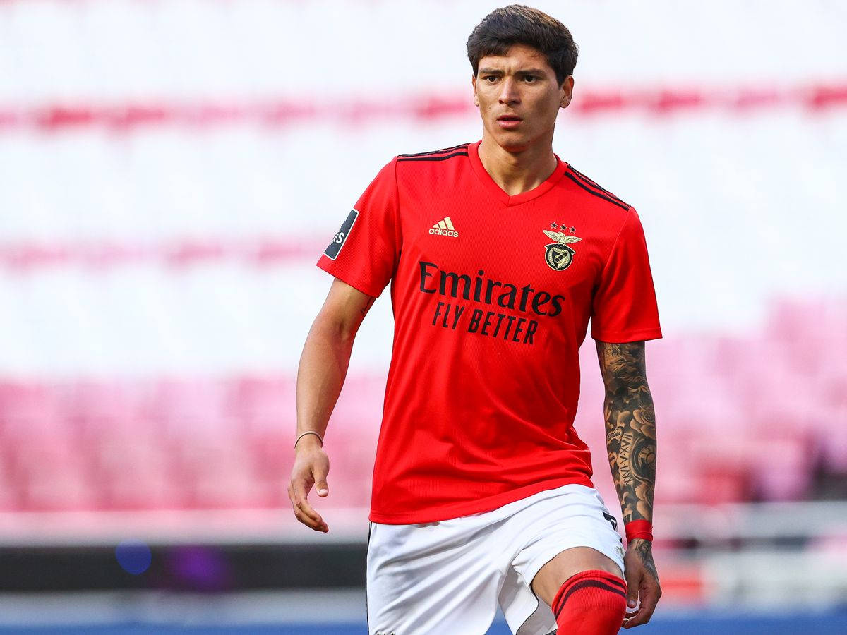 Darwin Núñez, red Benfica jersey, tattoos on his arm, SD Desktop Wallpaper