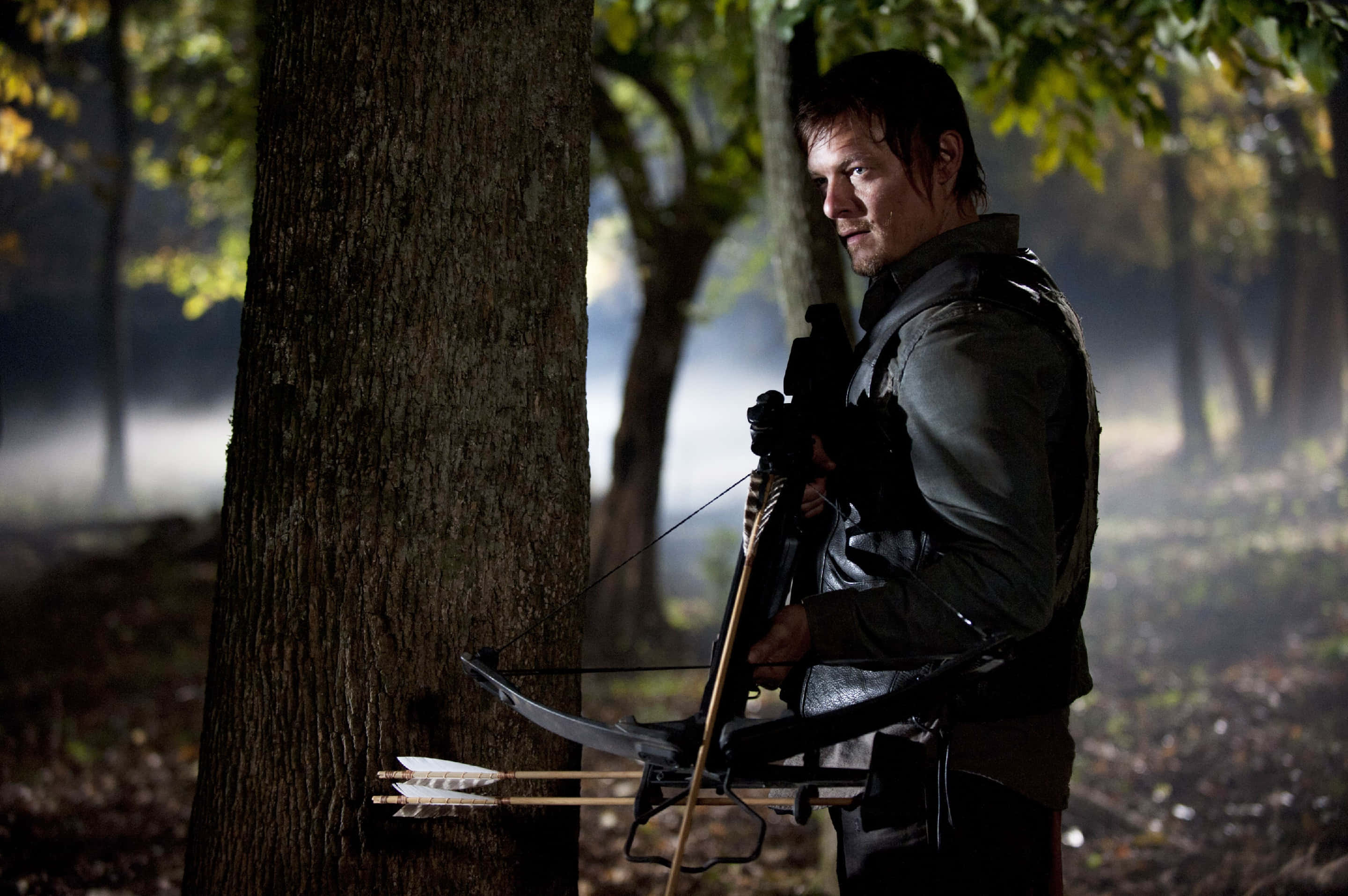 Daryl Dixon, crossbow, woods, 2K Desktop Wallpaper