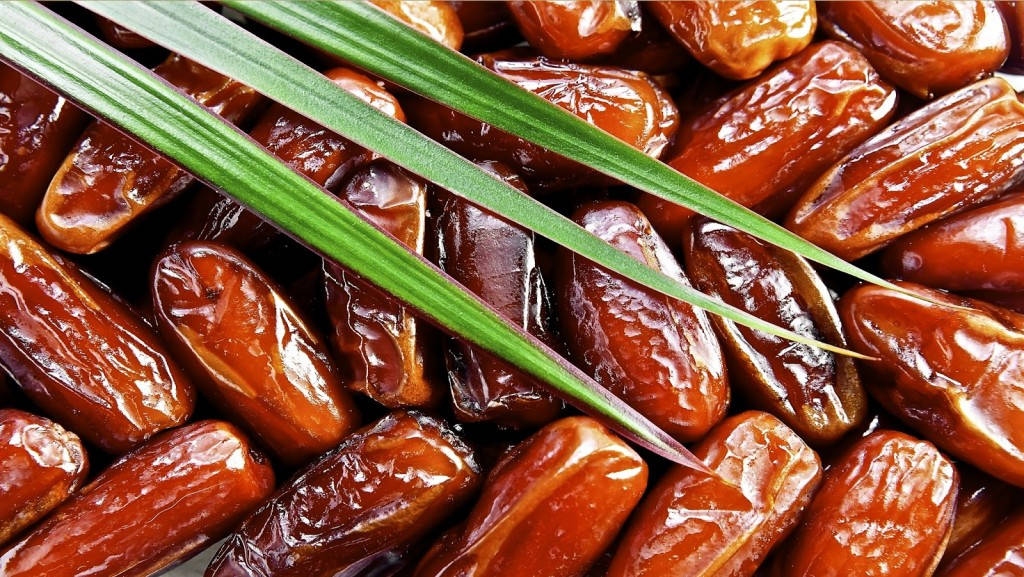 dates, palm tree leaves, glossy brown, SD Desktop Wallpaper