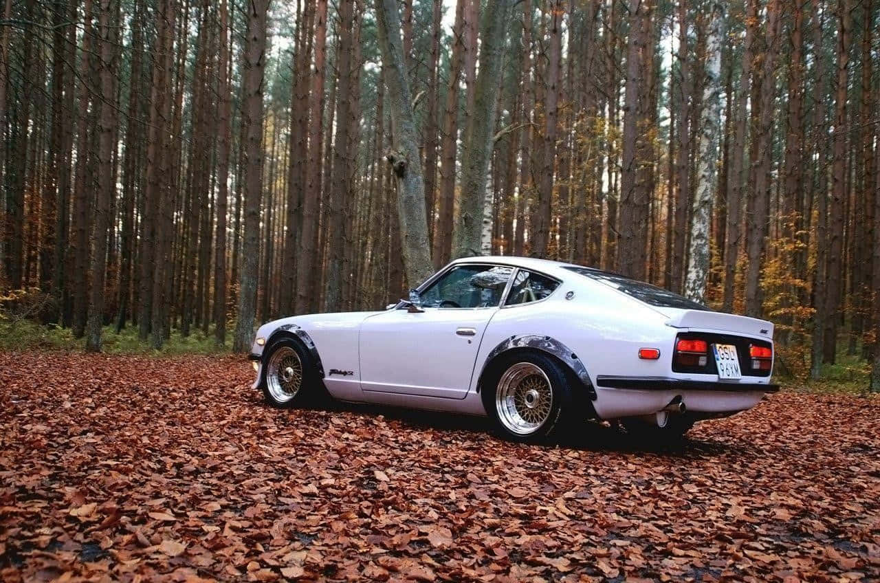 Datsun, classic sports car, white, HD Desktop Wallpaper