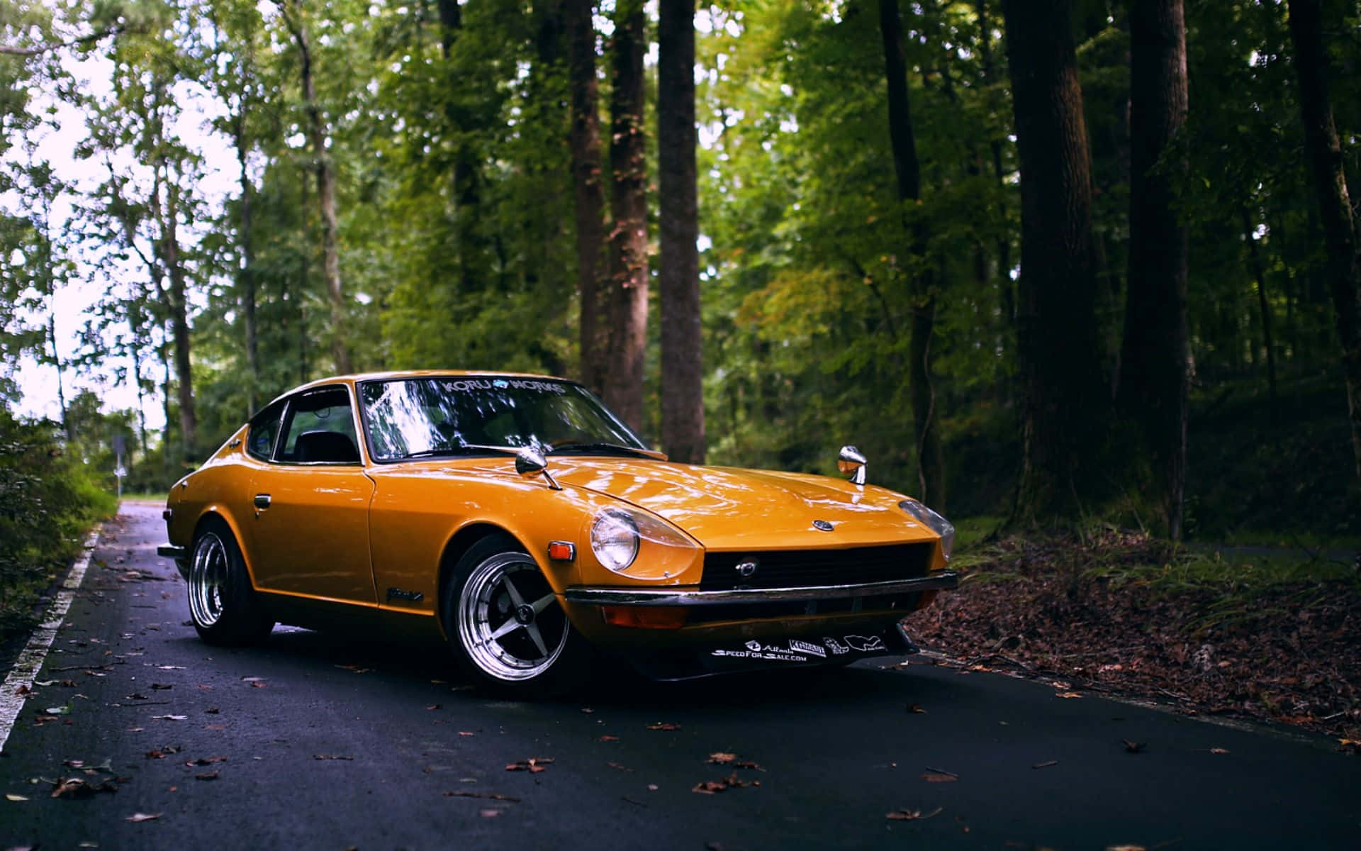 Datsun, classic sports car, forest road, Full HD Desktop Wallpaper