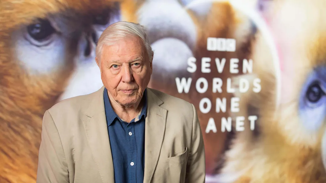 David Attenborough