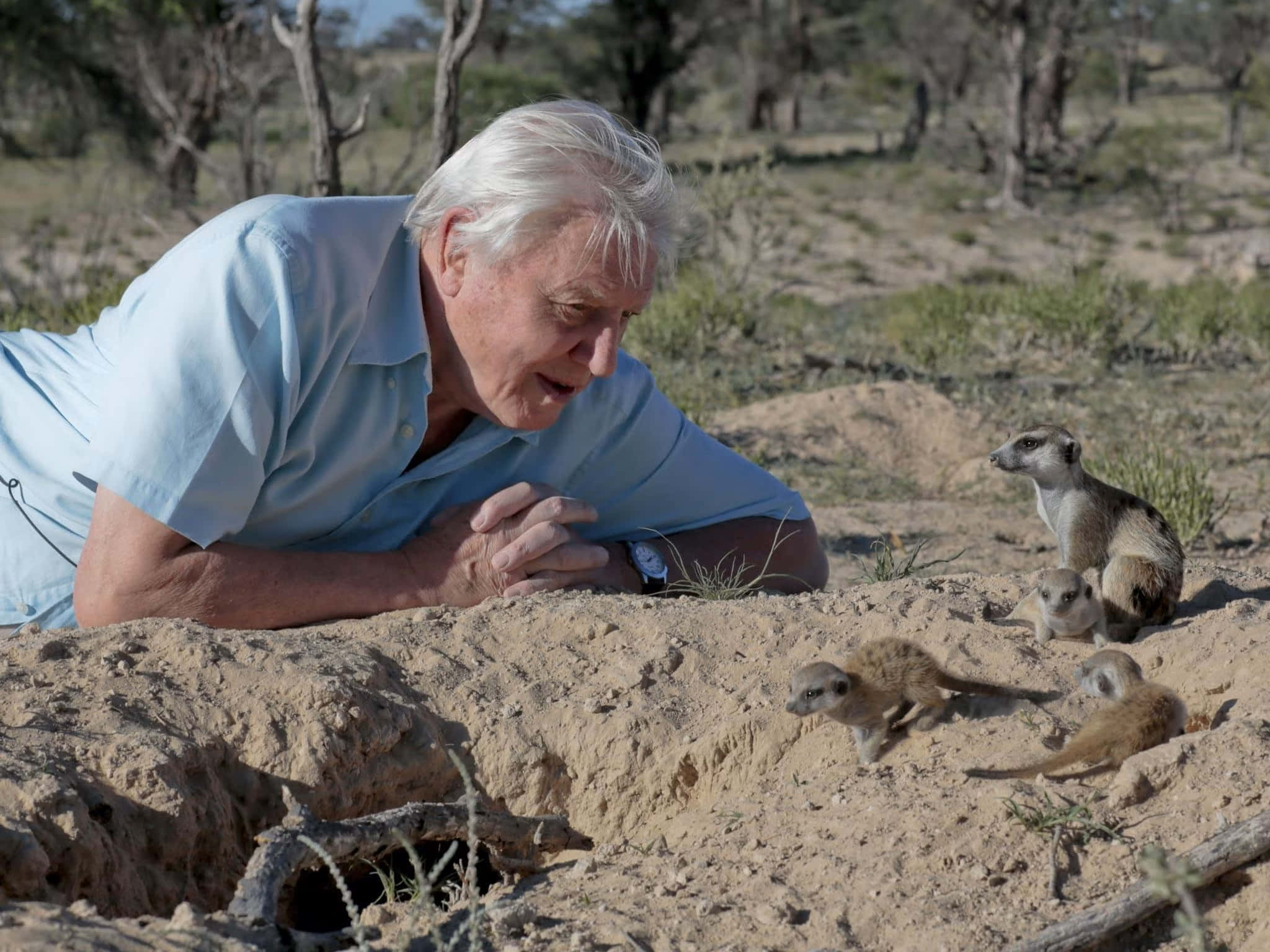 David Attenborough, light blue shirt, sandy ground, Full HD Desktop Wallpaper