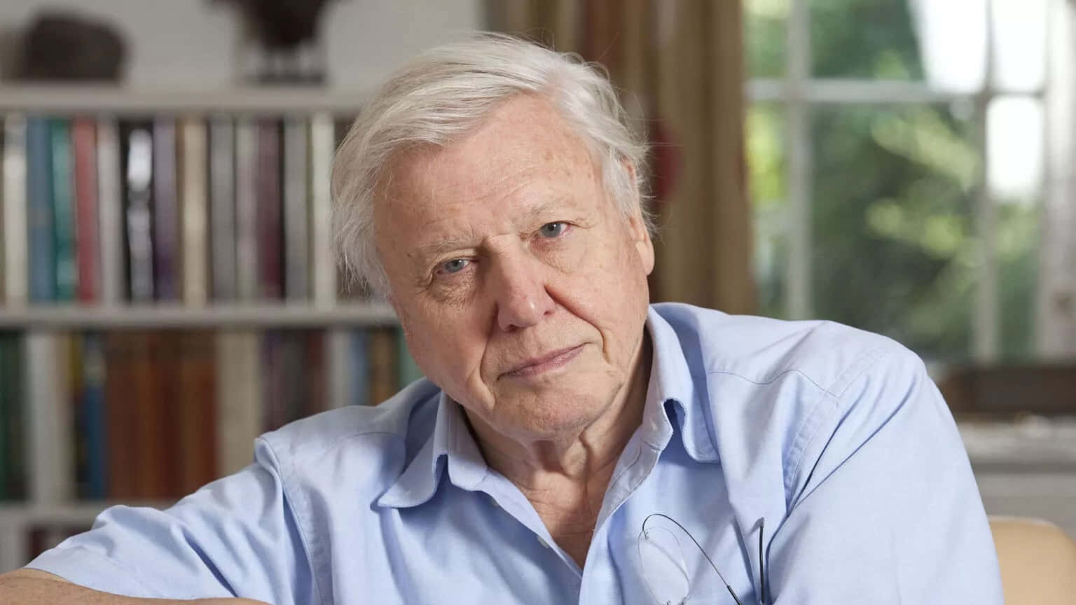 David Attenborough, white hair, blue eyes, HD Desktop Wallpaper