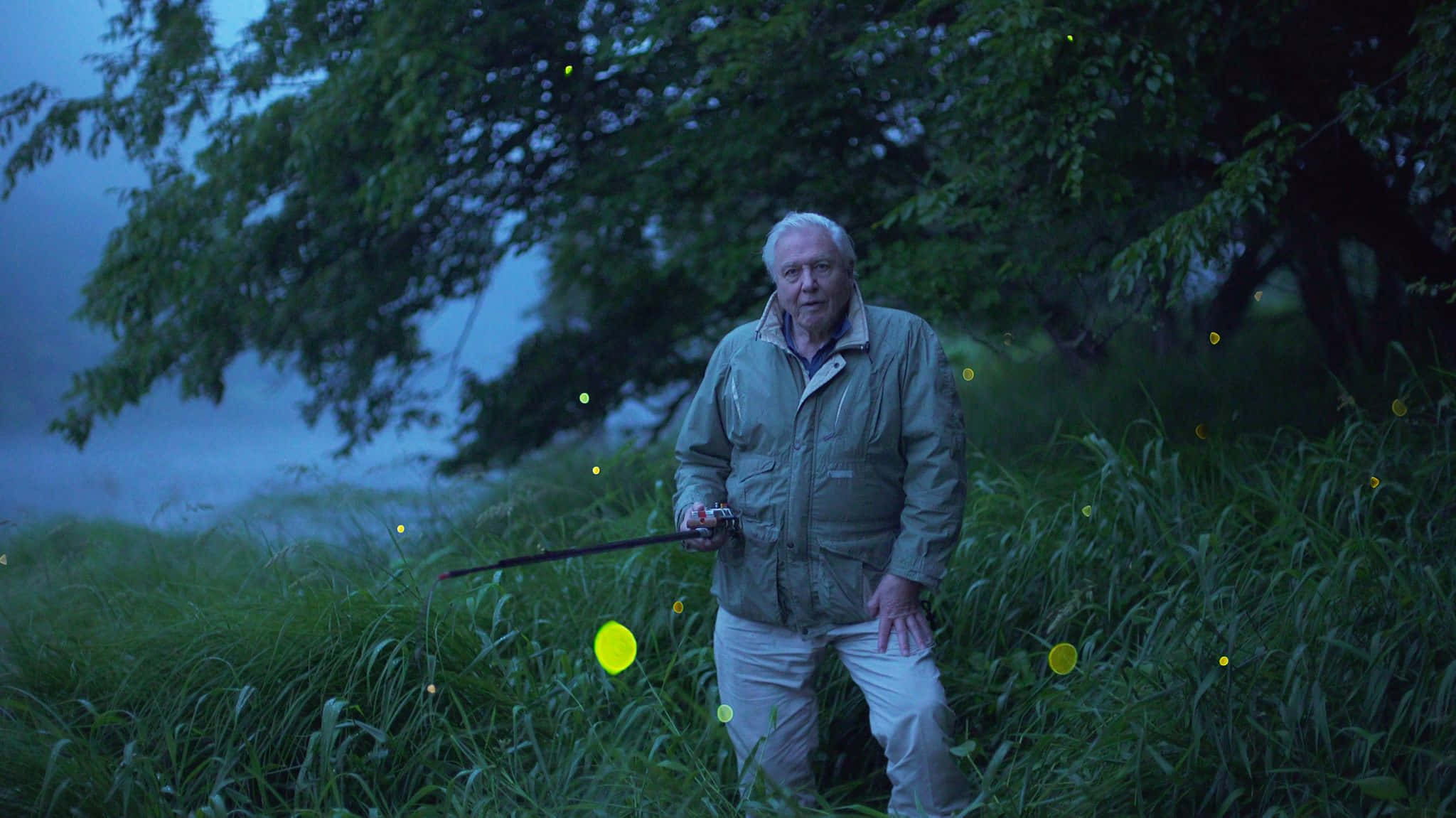 David Attenborough, misty twilight meadow, fishing rod, Full HD Desktop Wallpaper