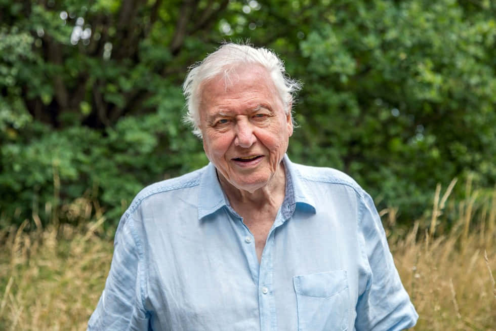 David Attenborough, white hair, sunlit field, SD Desktop Wallpaper