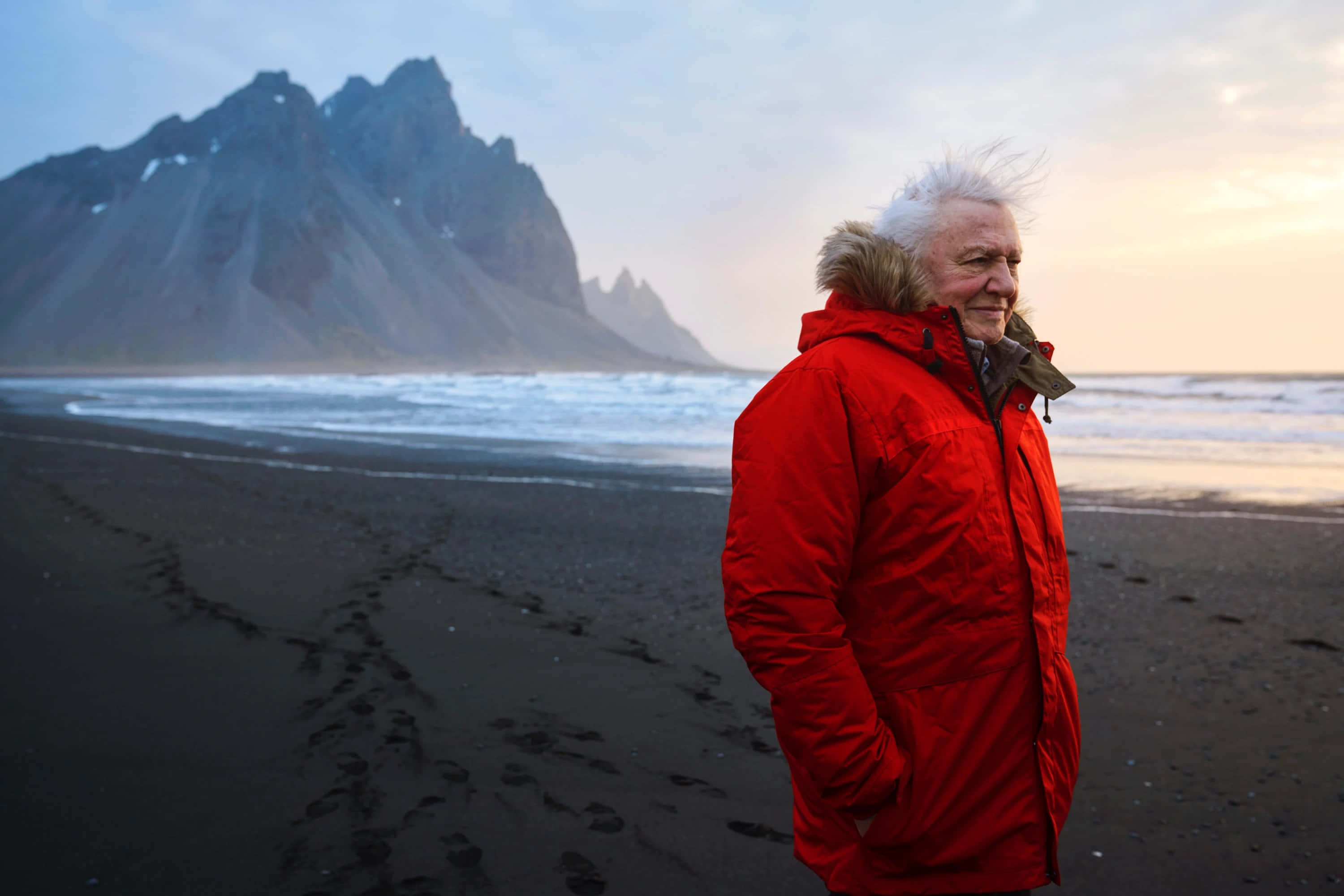 David Attenborough, bright red jacket, black volcanic beach, 2K Desktop Wallpaper