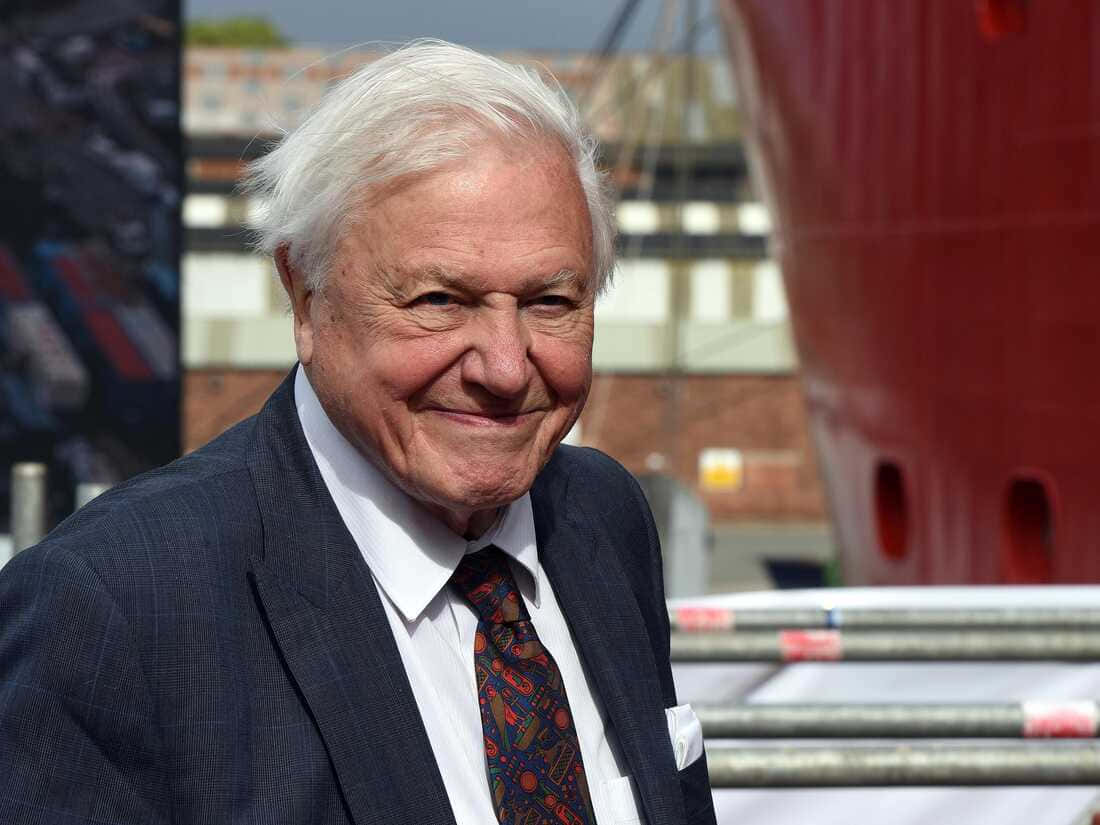 David Attenborough, white hair, suit, SD Desktop Wallpaper