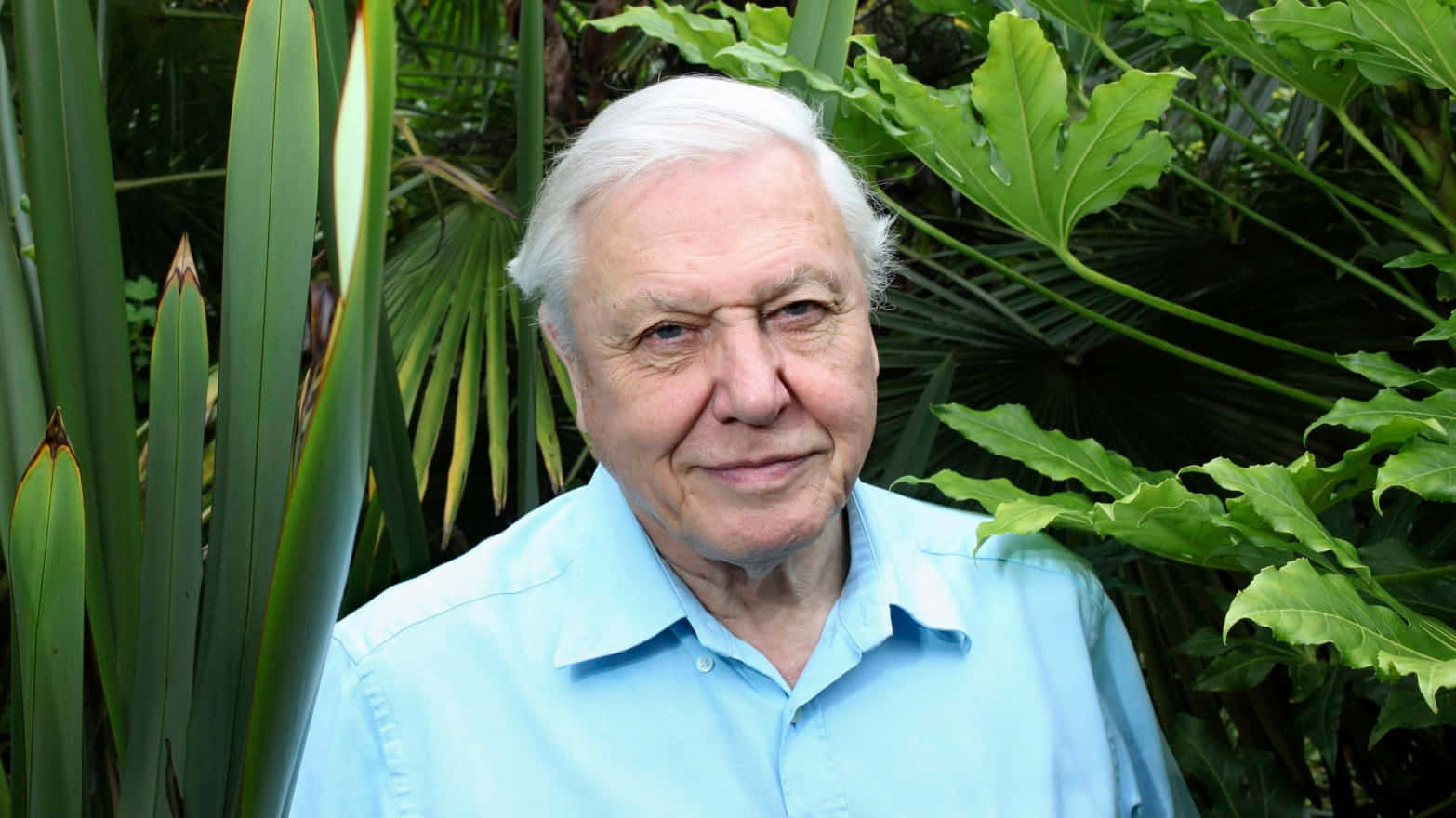 David Attenborough, white hair, lush green tropical foliage, HD Desktop Wallpaper