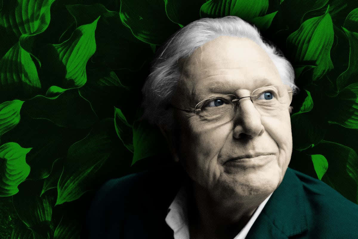 David Attenborough, glasses, vibrant green leafy background, SD Desktop Wallpaper