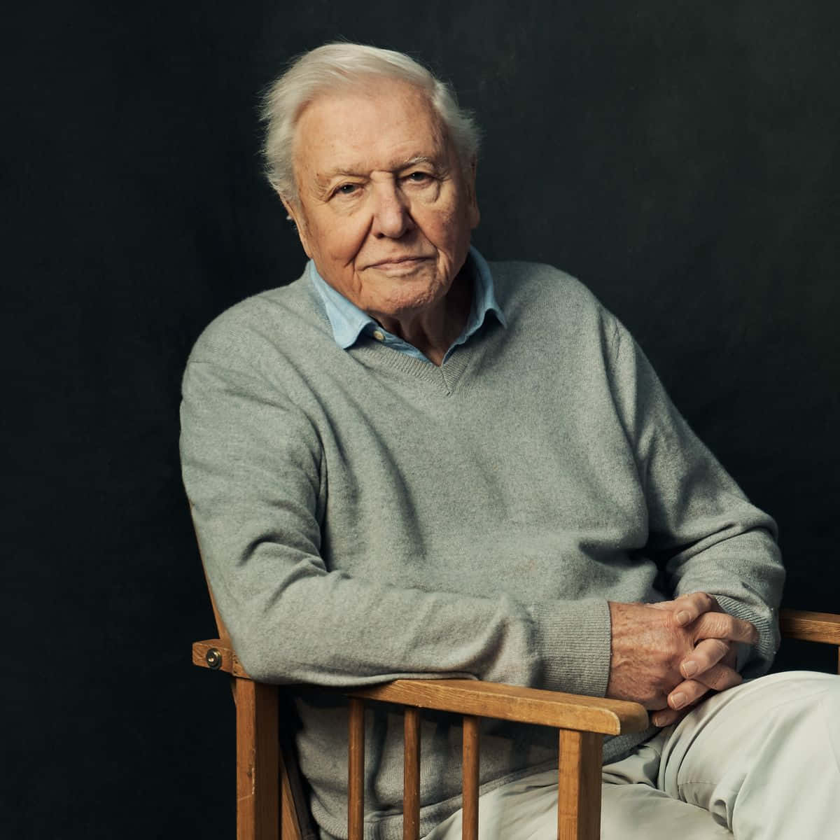David Attenborough, white hair, wooden chair, SD Desktop Wallpaper