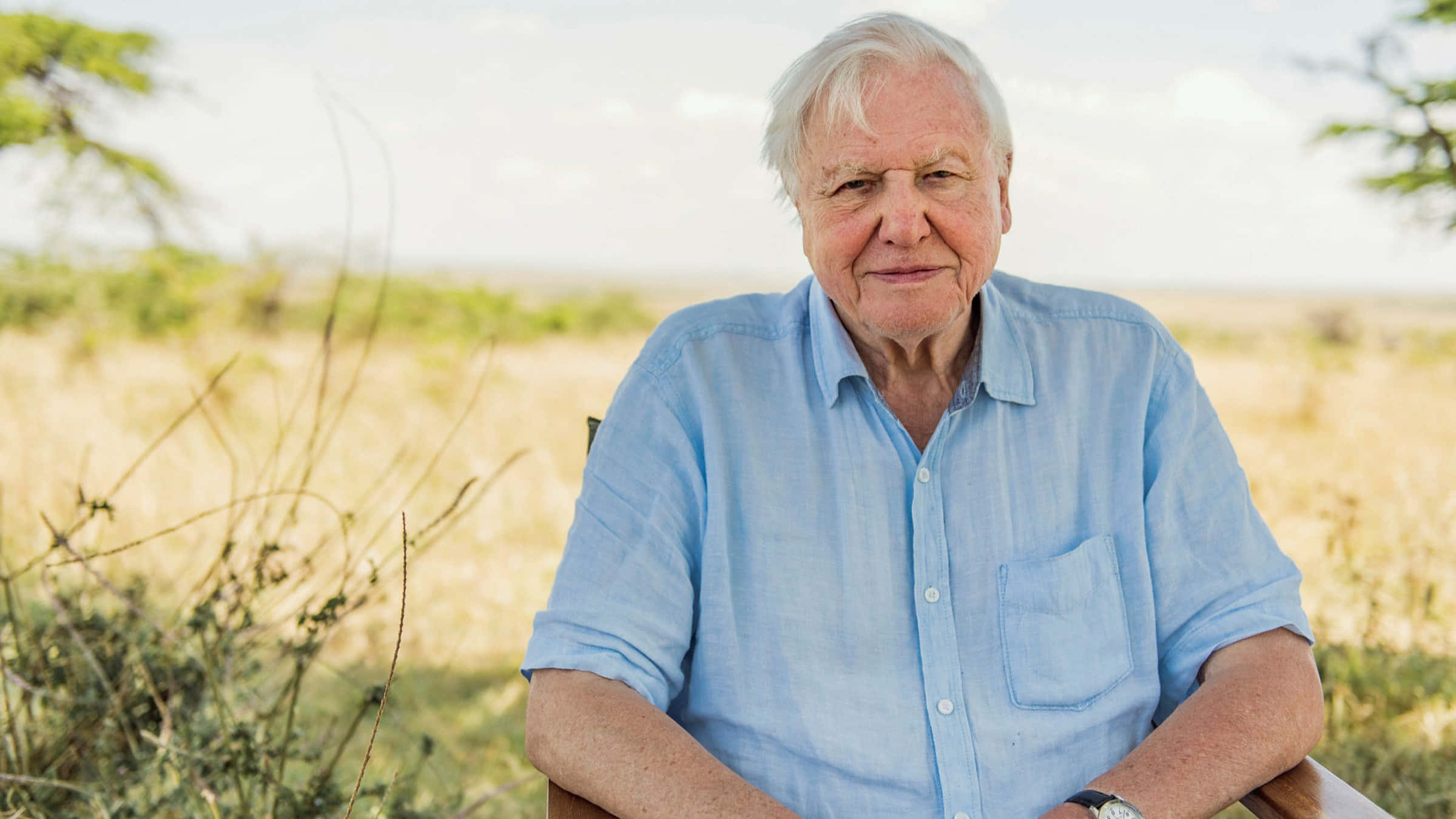 David Attenborough, wooden chair, sunlit savanna, Full HD Desktop Wallpaper