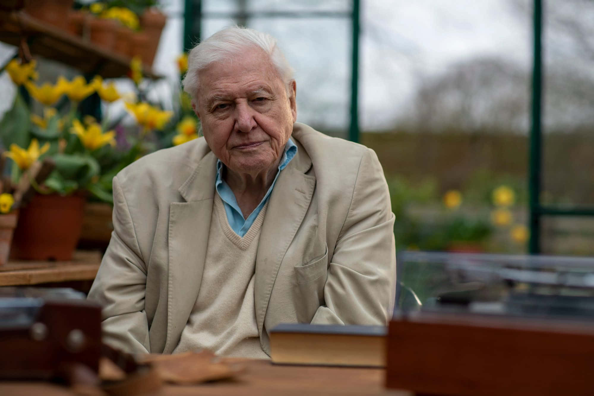 David Attenborough, white hair, wooden table, Full HD Desktop Wallpaper