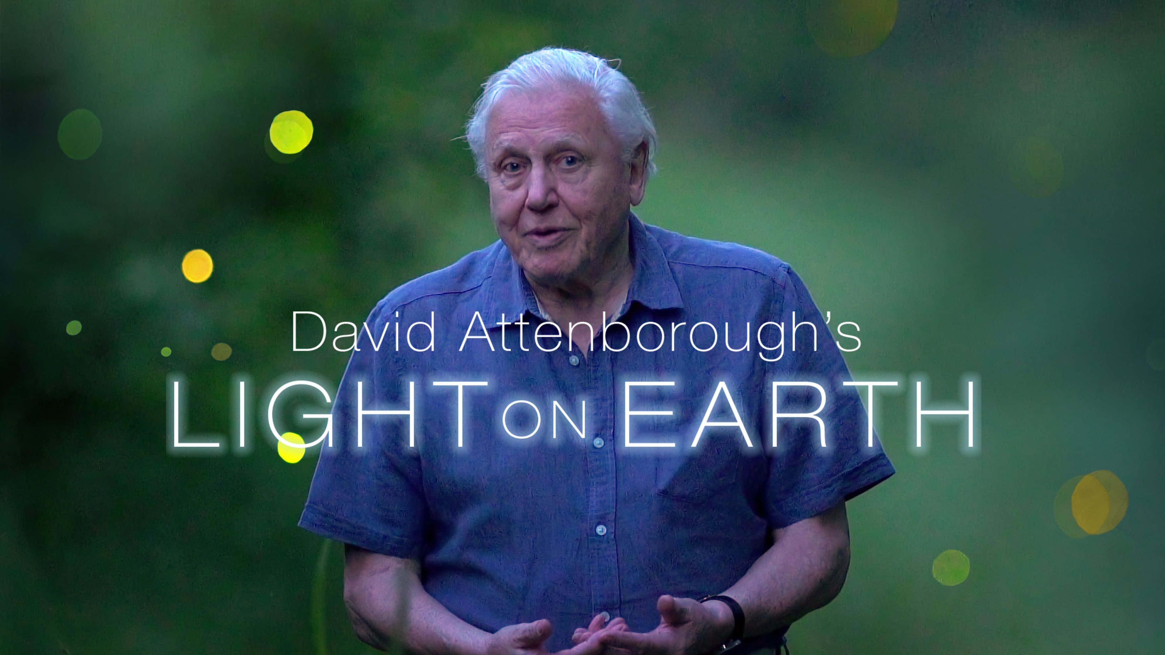 David Attenborough, lush green forest, glowing fireflies, 4K Desktop Wallpaper