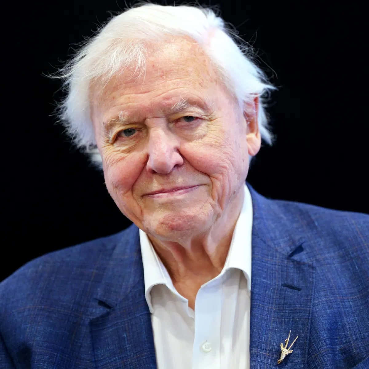 David Attenborough, white hair, blue plaid suit, SD Desktop Wallpaper
