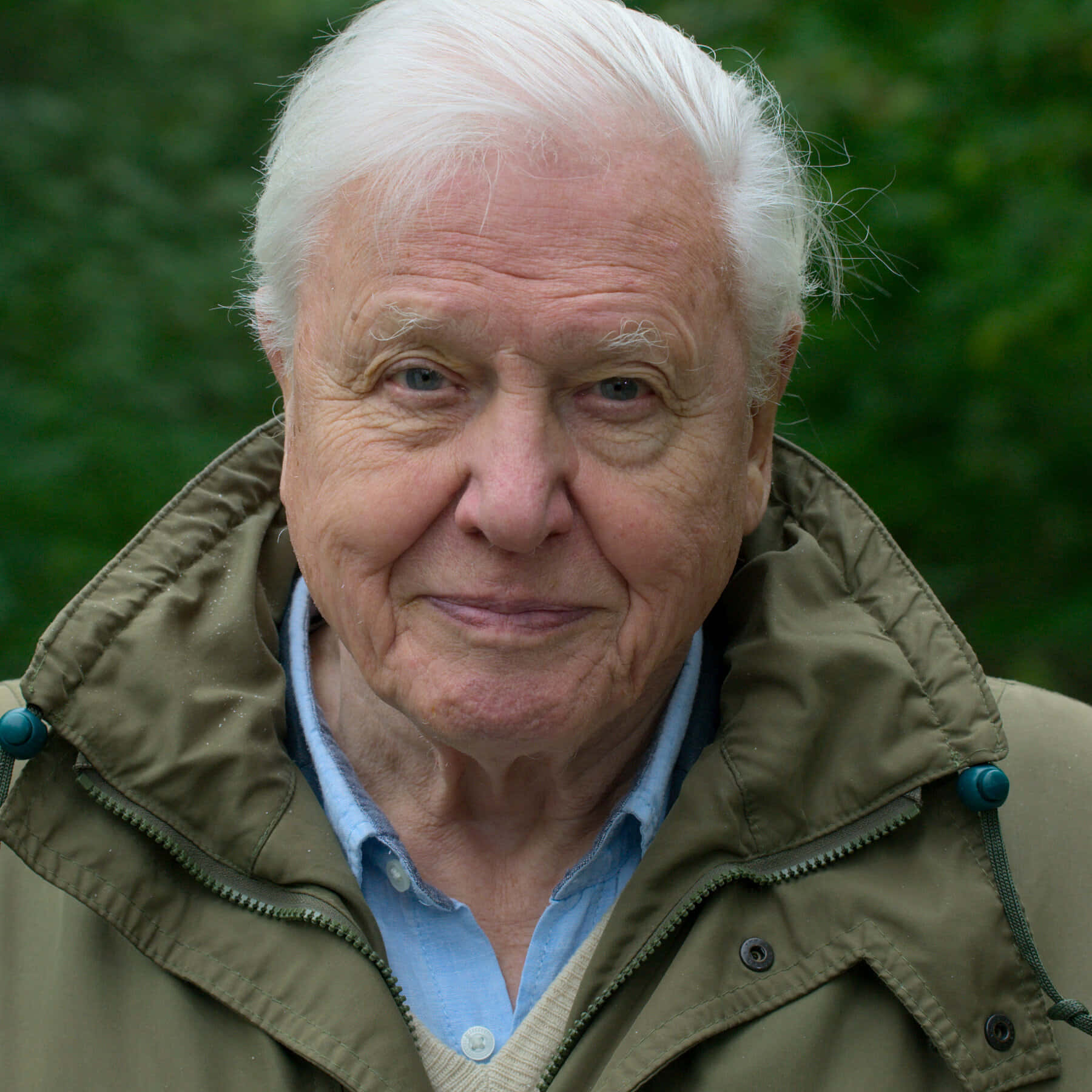 David Attenborough, white hair, gentle smile, HD Desktop Wallpaper