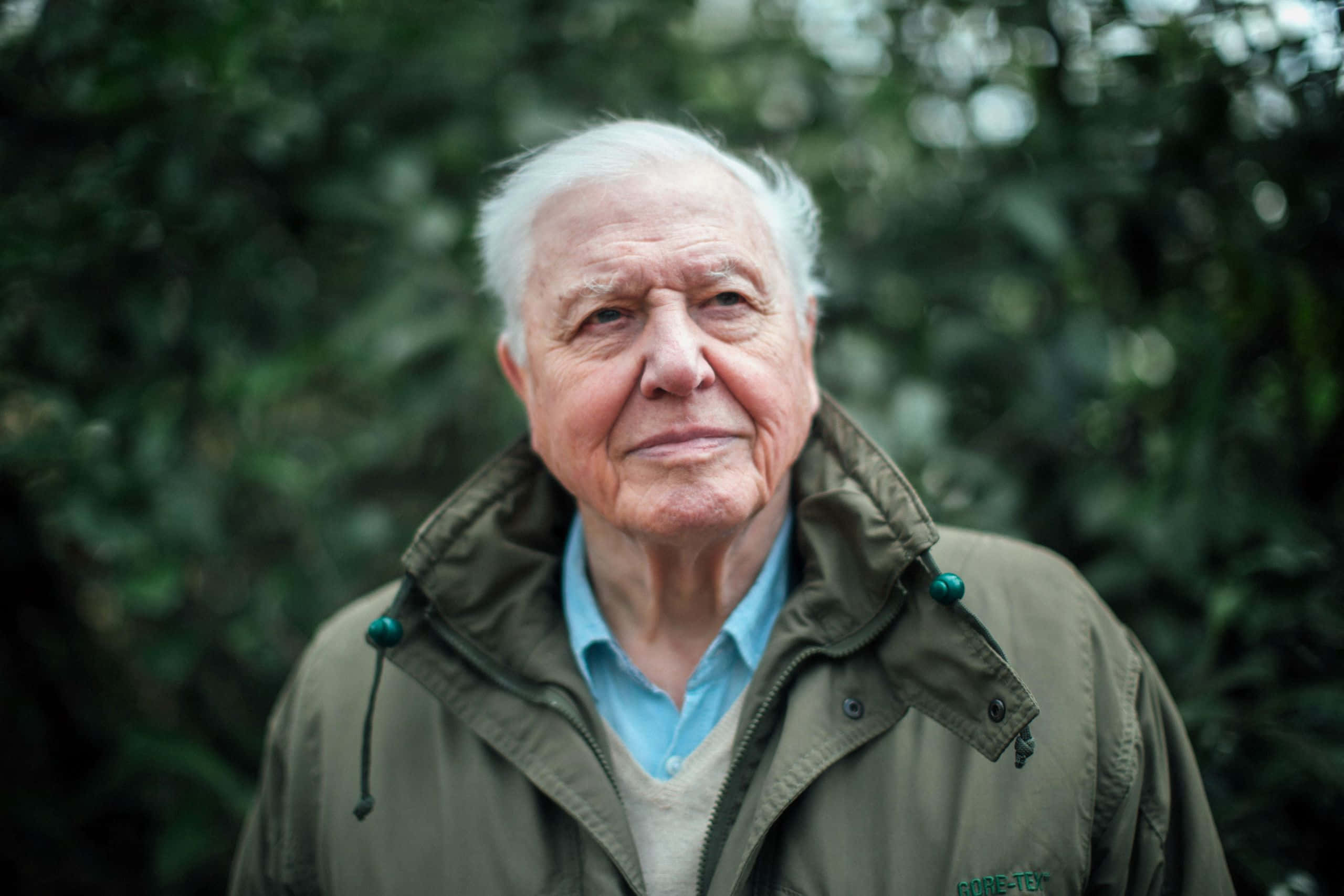 David Attenborough, white hair, green jacket, 2K Desktop Wallpaper