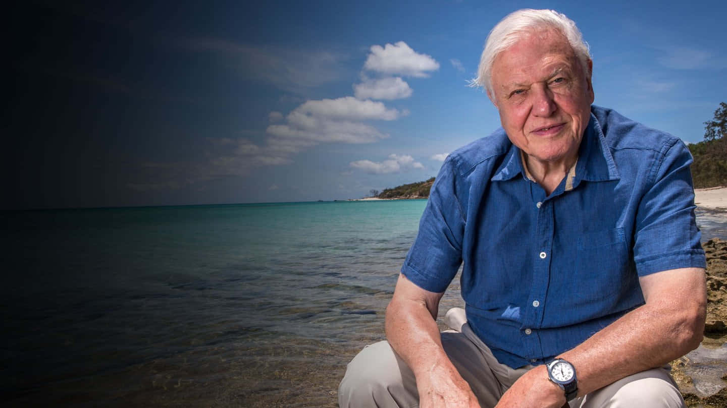 David Attenborough, white hair, turquoise ocean waters, HD Desktop Wallpaper