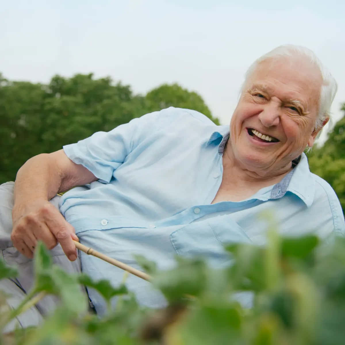 David Attenborough, white hair, lush green garden, SD Desktop Wallpaper