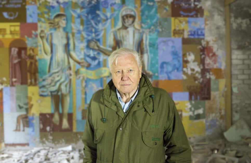 David Attenborough, green jacket, vibrant mural, SD Desktop Wallpaper