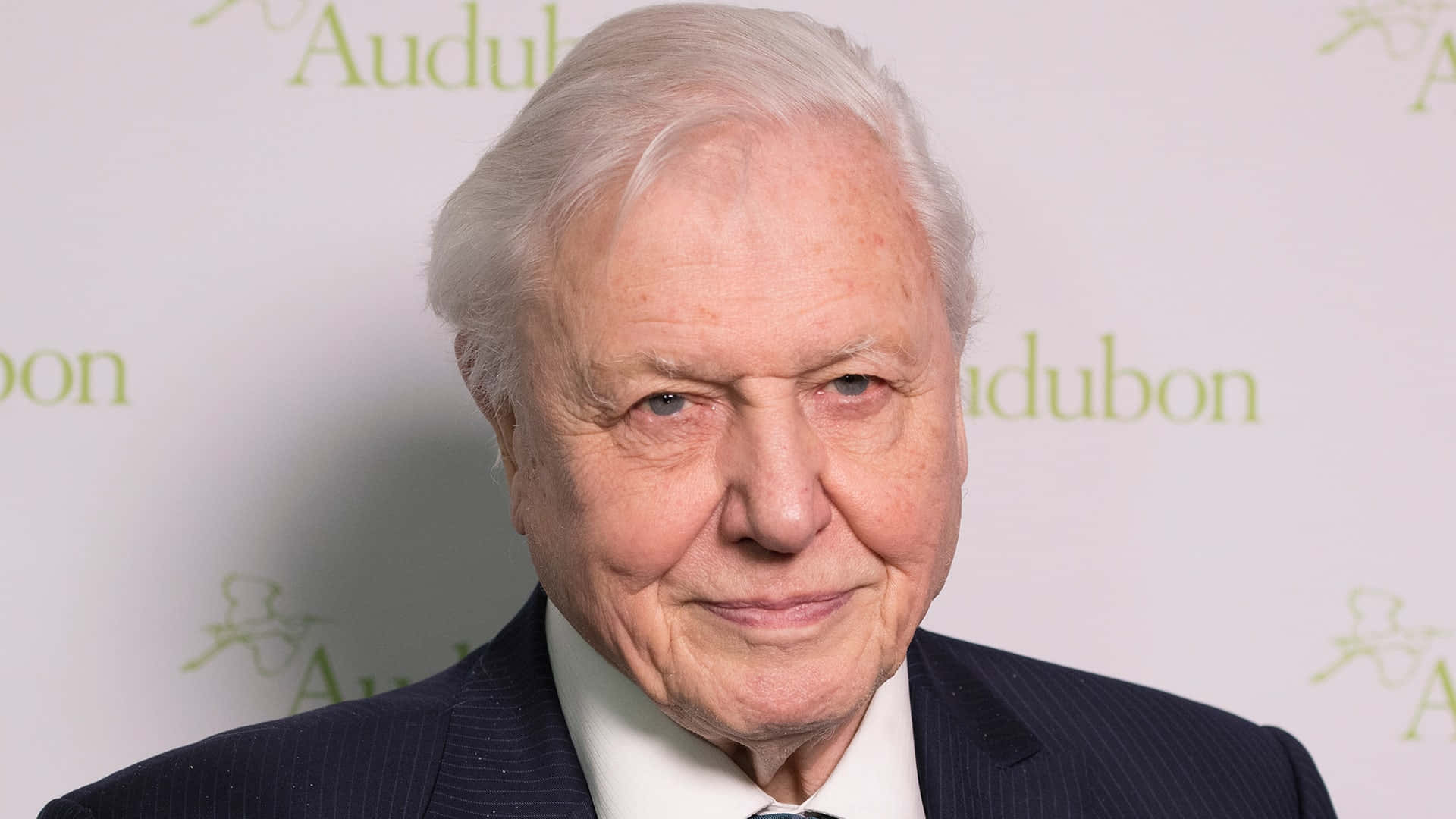 David Attenborough, white hair, blue eyes, Full HD Desktop Wallpaper