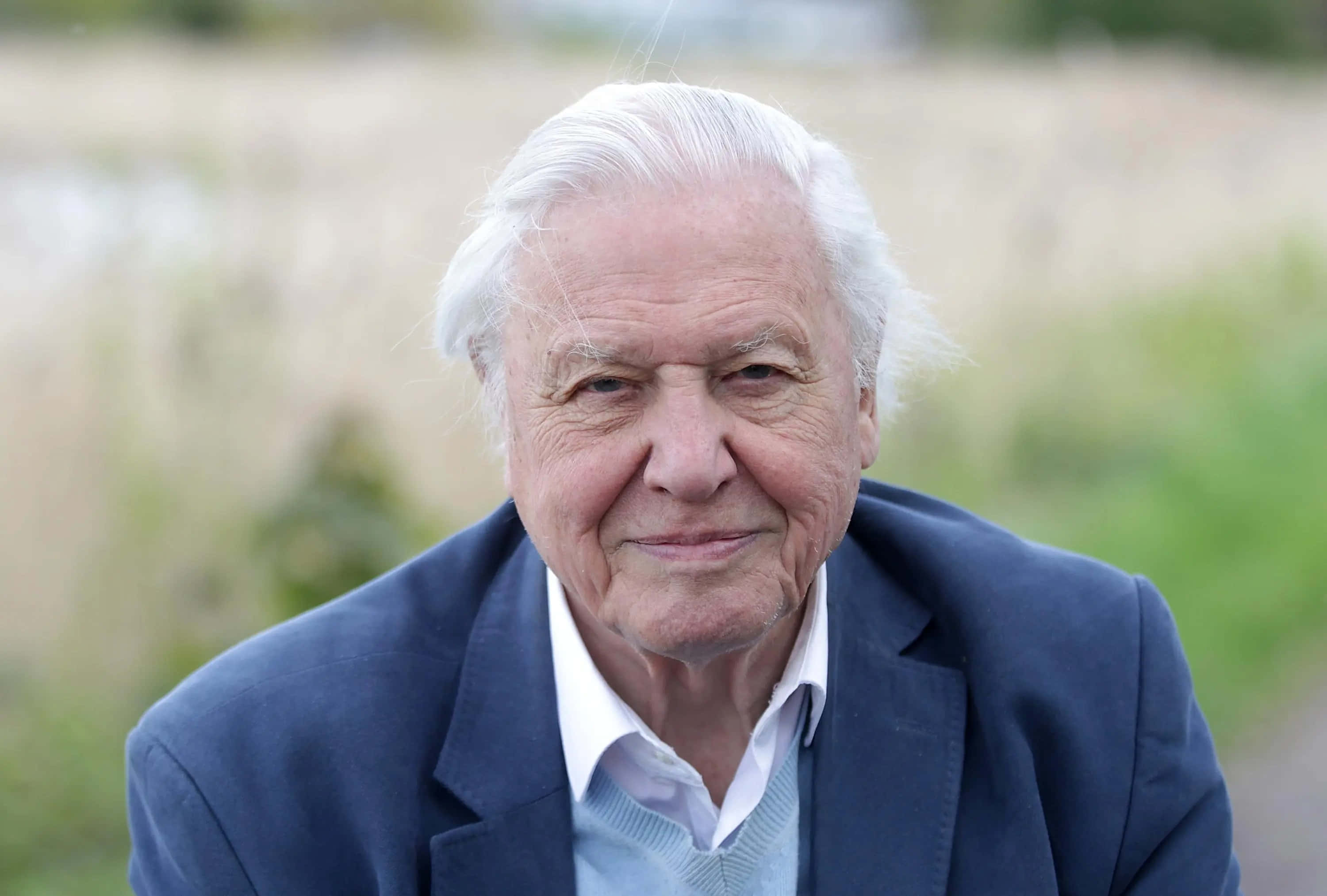 David Attenborough, navy blazer, light blue sweater, 2K Desktop Wallpaper