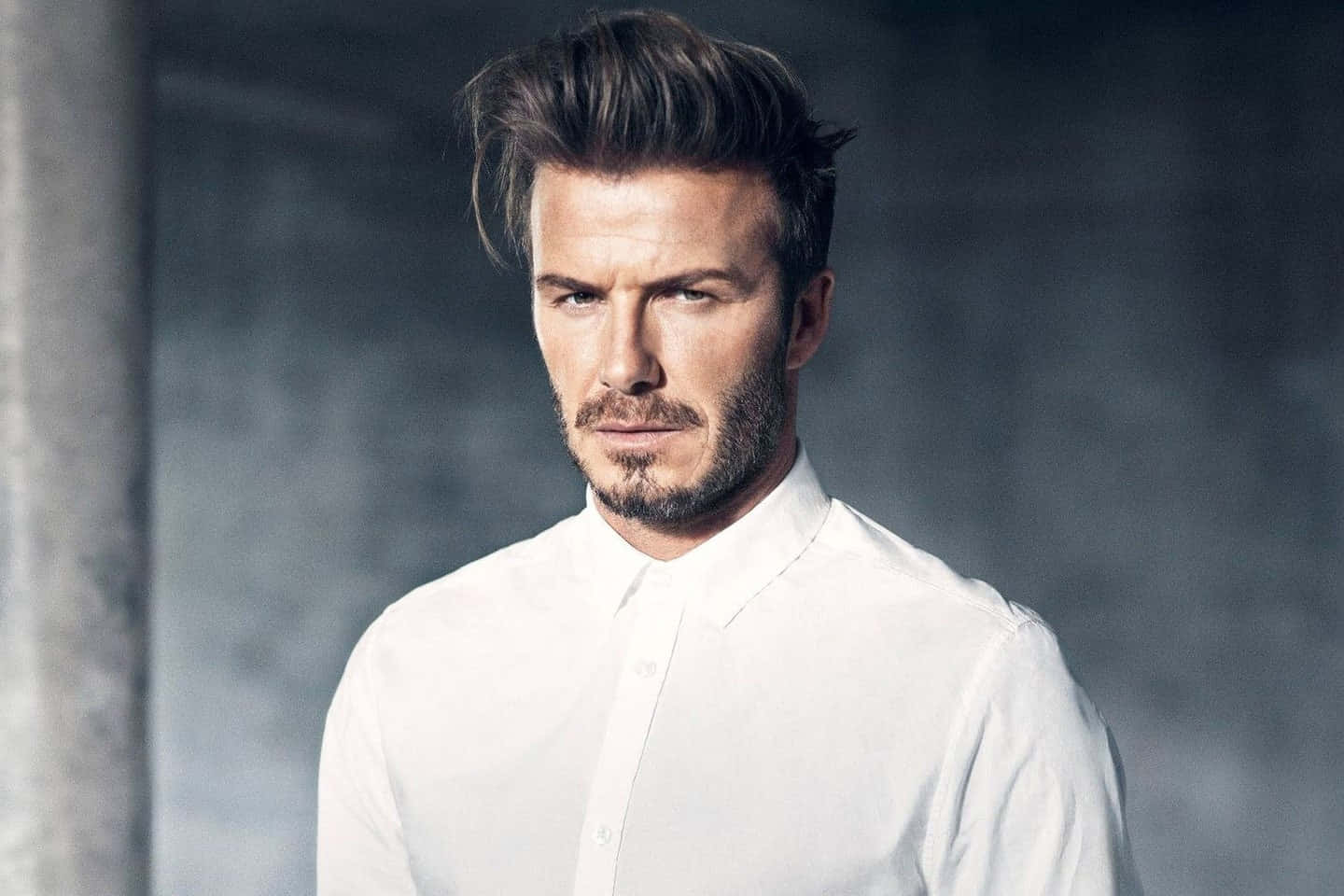 David Beckham, crisp white shirt, muted gray concrete background, HD Desktop Wallpaper
