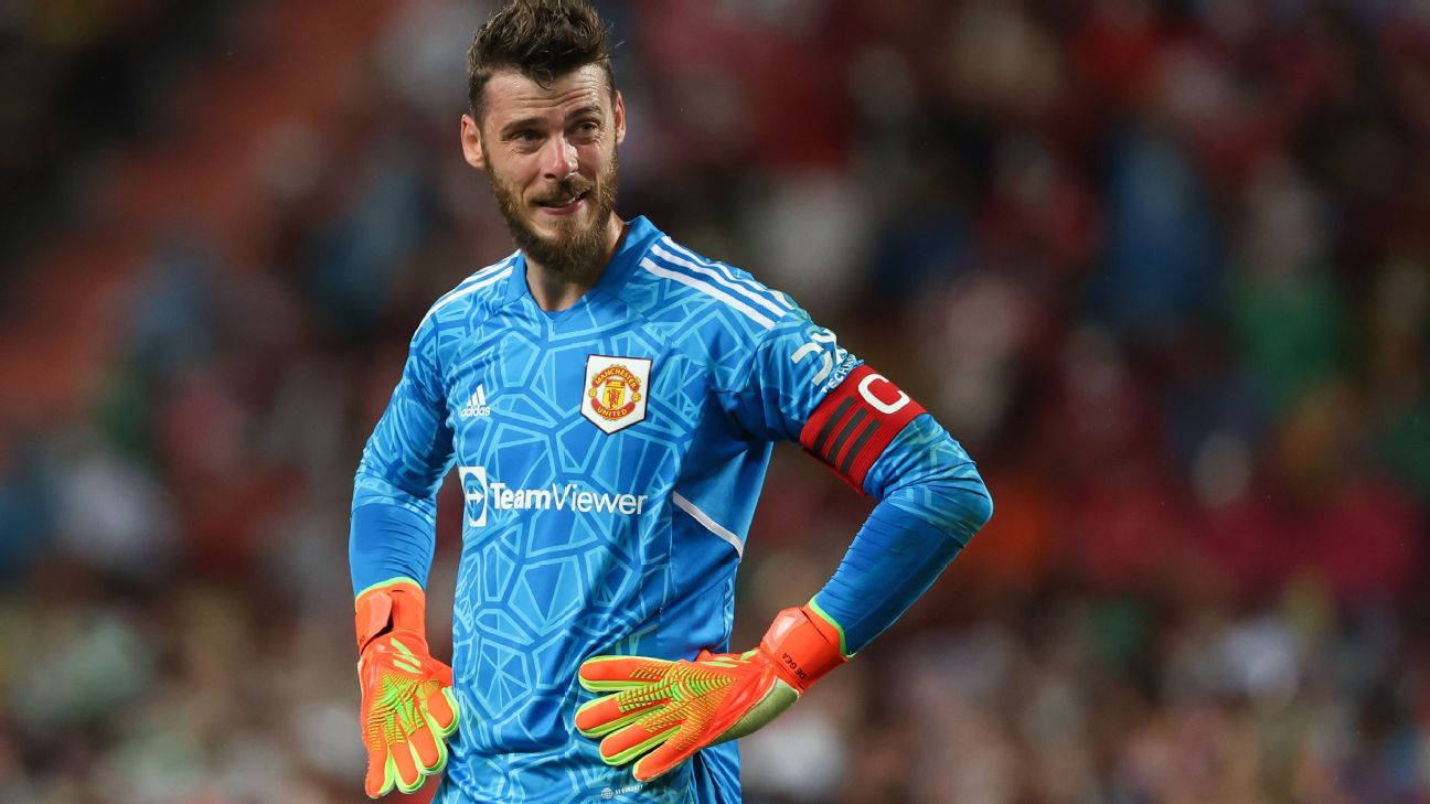 David de Gea, orange gloves, blue Manchester United kit, HD Desktop Wallpaper