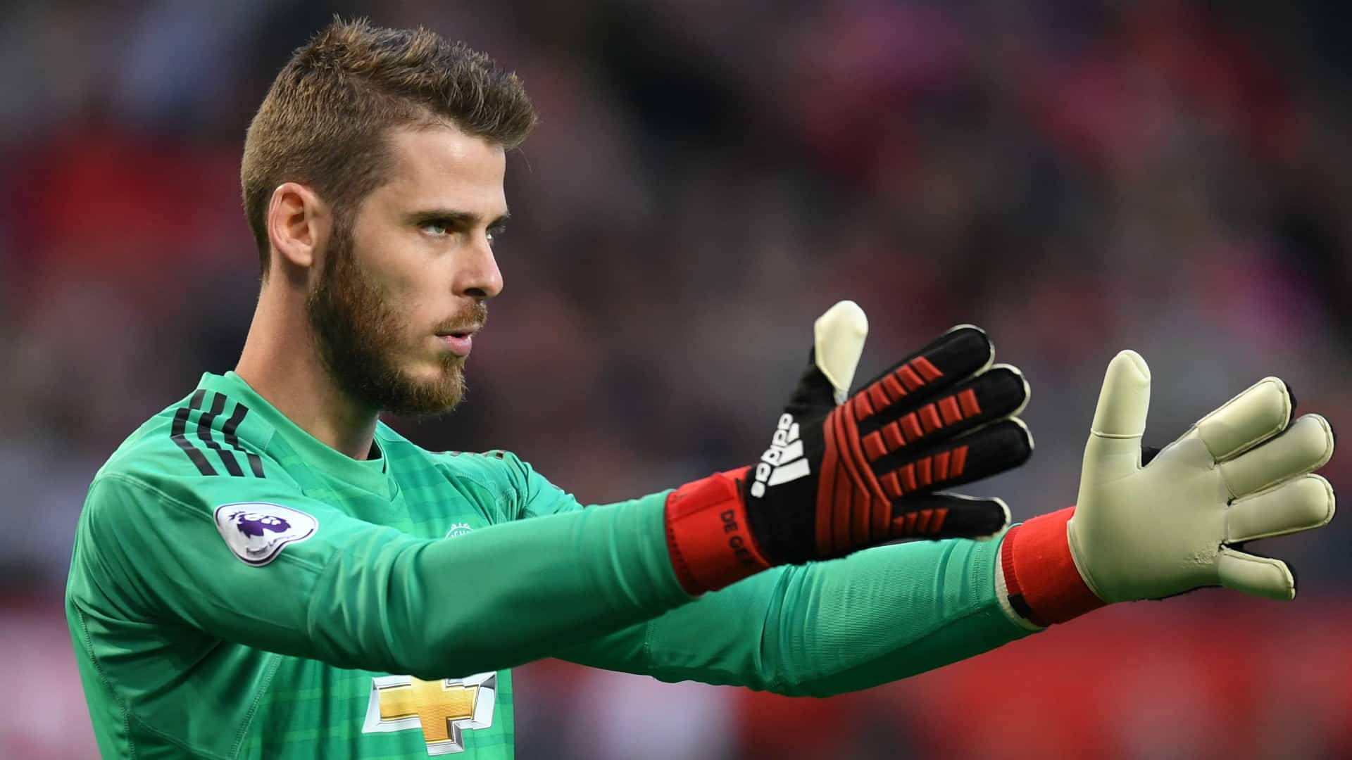 David de Gea, green jersey, red gloves, Full HD Desktop Wallpaper