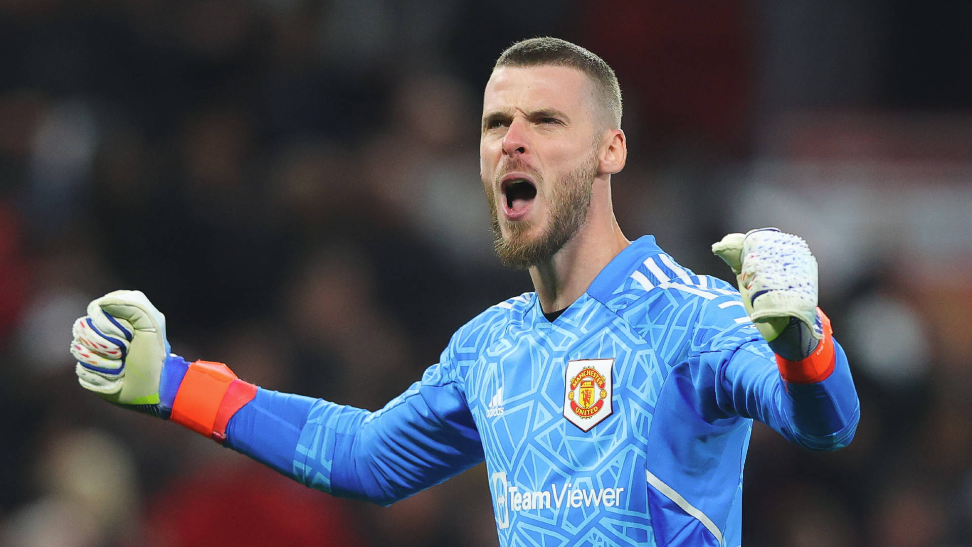 David de Gea, blue Manchester United kit, stadium lights, Full HD Desktop Wallpaper