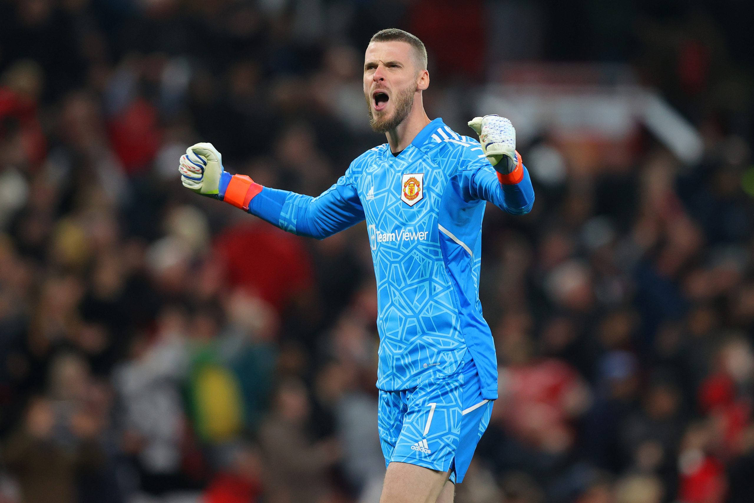 David de Gea, blue kit, stadium lights, 2K Desktop Wallpaper