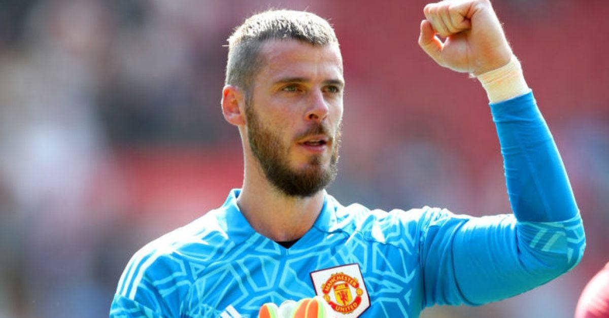 David de Gea, blue patterned jersey, daytime match, SD Desktop Wallpaper