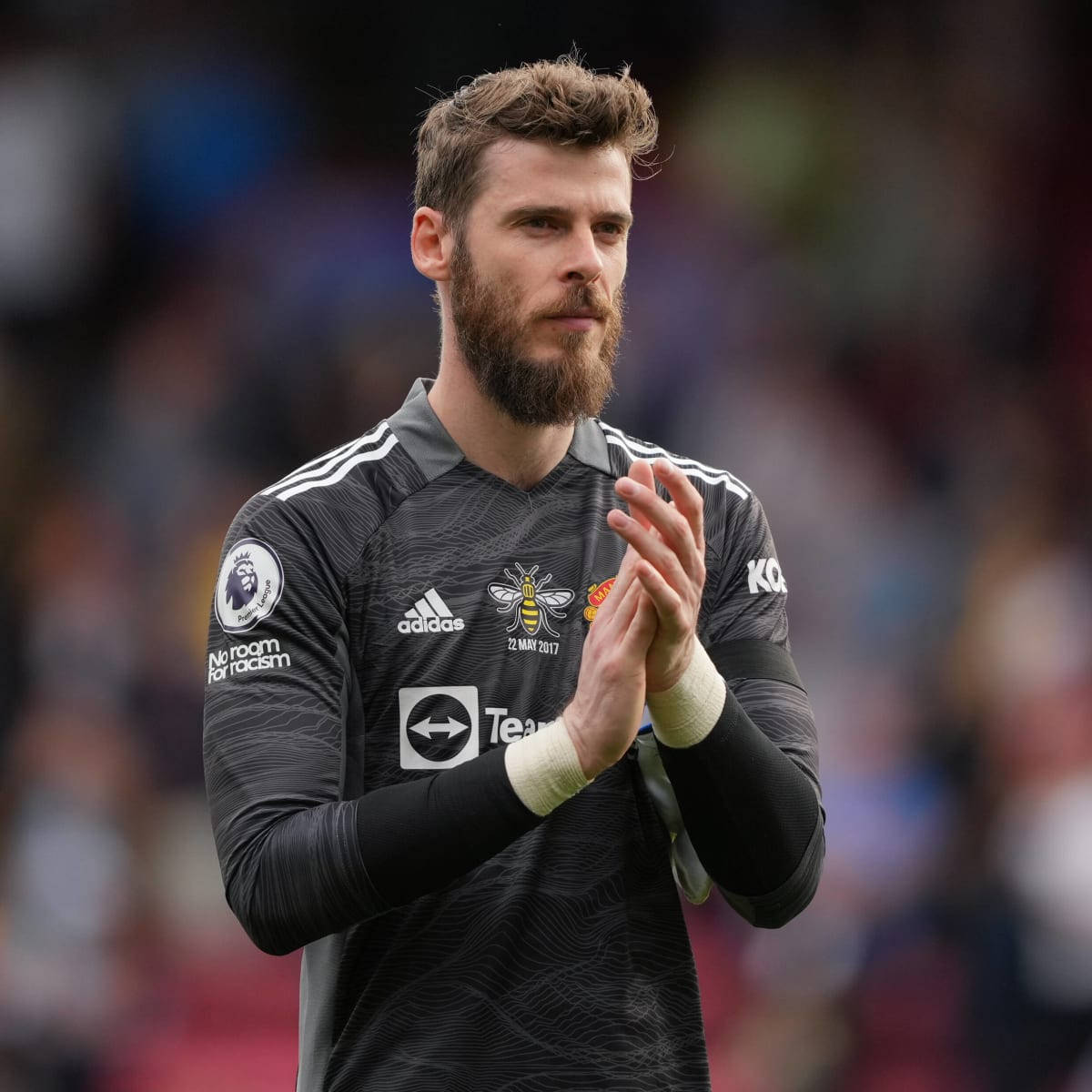 David de Gea, black jersey, stadium field, SD Desktop Wallpaper