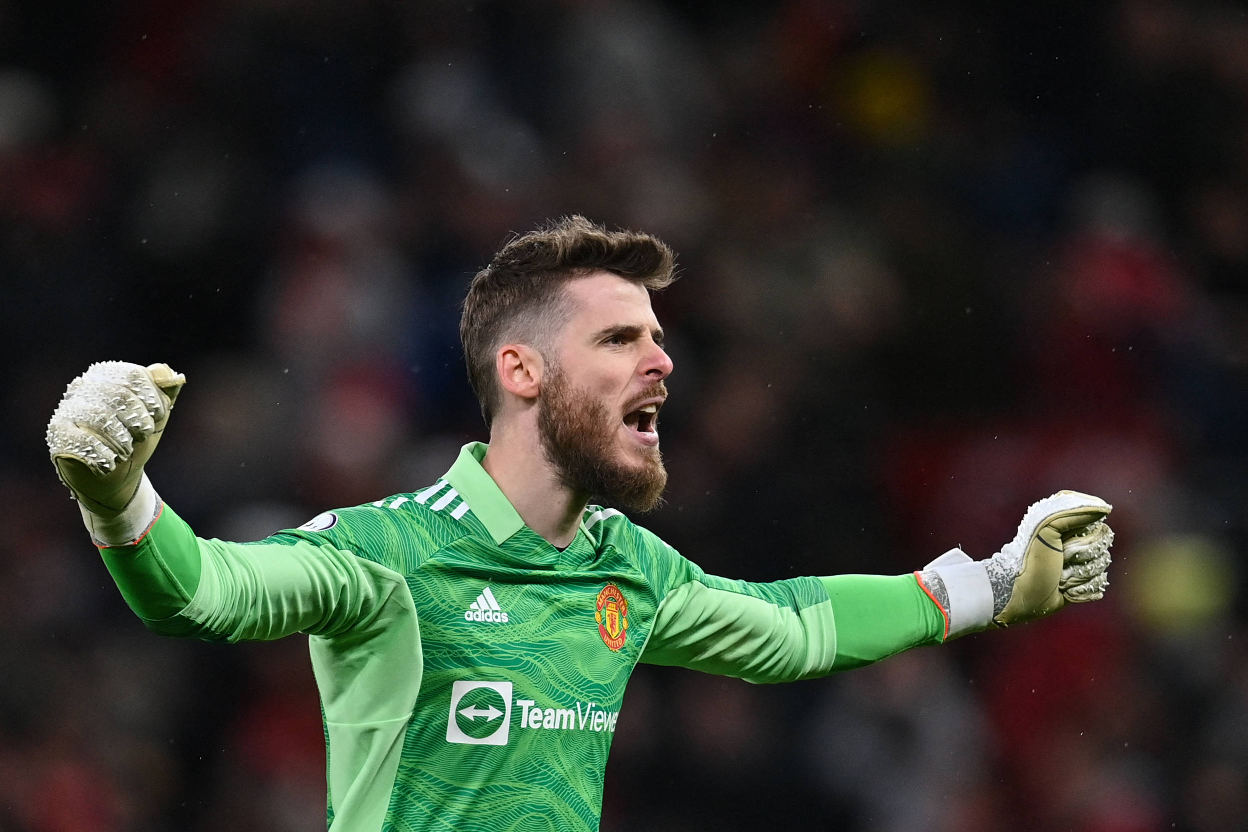 David de Gea, green jersey, stadium crowd, Full HD Desktop Wallpaper